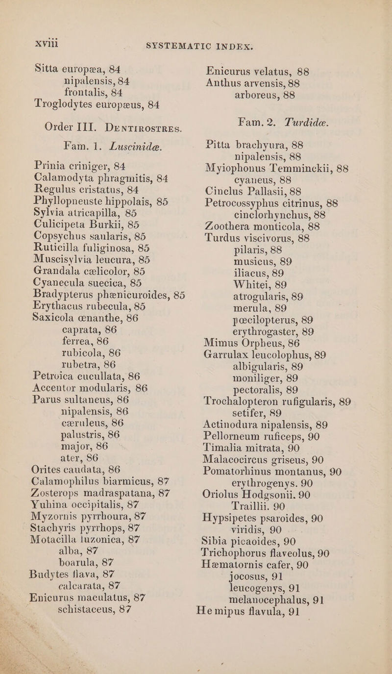 XVII Sitta europea, 84 nipalensis, 84 frontalis, 84 Troglodytes europeus, 84 Order III. DentirostrREs. Fam. 1, Luscinide. Prinia criniger, 84 Calamodyta phragmitis, 84 Regulus cristatus, 84 Phyllopneuste hippolais, 85 Sylvia atricapilla, 85 Culicipeta Burkii, 85 Copsychus saularis, 85 Ruticilla fuliginosa, 85 Muscisylvia leucura, 85 Grandala celicolor, 85 Cyanecula suecica, 85 Bradypterus phenicuroides, 85 Erythacus rubecula, 85 Saxicola cenanthe, 86 caprata, 86 ferrea, 86 rubicola, 86 rubetra, 86 Petroica cucullata, 86 Accentor modularis, 86 Parus sultaneus, 86 nipalensis, 86 ceruleus, 86 palustris, 86 major, 86 ater, S6 Orites caudata, 86 Calamophilus biarmicus, 87 Zosterops madraspatana, 87 Yuhina occipitalis, 87 Myzornis pyrrhoura, 87 Stachyris pyrrhops, 87 Motacilla !uzonica, 87 alba, 87 boarula, 87 Budytes flava, 87 calcarata, 87 Enicurus maculatus, 87 . schistaceus, 87 Enicurus velatus, 88 Anthus arvensis, 88 arboreus, 88 Fam. 2. Turdide. Pitta brachyura, 88 nipalensis, 88 Myiophonus Temminckii, 88 cyaneus, 88 Cinclus Pallasii, 88 Petrocossyphus citrinus, 88 cinclorhynchus, 88 Zoothera monticola, 88 Turdus viscivorus, 88 pilaris, 88 musicus, 89 iliacus, 89 Whitei, 89 atrogularis, 89 merula, 89 pecilopterus, 89 erythrogaster, 89 Mimus Orpheus, 86 Garrulax leucolophus, 89 albigularis, 89 moniliger, 89 pectoralis, 89 Trochalopteron rufigularis, 89 setifer, 89 Actinodura nipalensis, 89 Pellorneum ruficeps, 90 Timalia mitrata, 90 Malacocircus griseus, 90 Pomatorhinus montanus, 90 erythrogenys. 90 Oriolus Hodgsonii. 90 Traillii. 90 Hypsipetes psaroides, 90 viridis, 90 Sibia picaoides, 90 Trichophorus flaveolus, 90 Hematornis cafer, 90 jocosus, 91 leucogenys, 91 melanocephalus, 91 He mipus flavula, 91