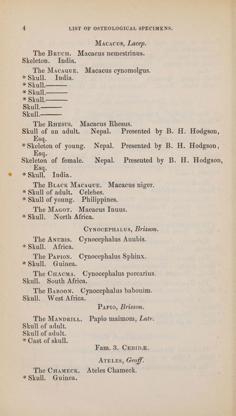 Macacus, Lacep. The Brucu. Macacus nemestrinus. Skeleton. India. The Macaeve. Macacus cynomolgus. * Skull. India. * Skull. * Skull. * Skull. Skull. Skull. The Ruesus. Macacus Rhesus. Skull of an adult.. Nepal. Presented by B. H. Hodgson, Esq. * Skeleton of young. Nepal. Presented by B. H. Hodgson, Esq. Skeleton of female. Nepal. Presented by B. H. Hodgson, Esq. * Skull. India. The Brack Macaque. Macacus niger. * Skull of adult. Celebes. * Skull of young. Philippines. The Macor. Macacus Inuus. *Skull. North Africa. CynocEPHALus, Brisson. The Anusis. Cynocephalus Anubis. * Skull. Africa. The Papion. Cynocephalus Sphinx. * Skull. Guinea. The Cuacma. Cynocephalus porcarius. Skull. South Africa. The Basoon. Cynocephalus babouim. Skull. West Africa. Papio, Brisson. The Manpriti. Papio maimom, Latr. Skull of adult. Skull of adult. * Cast of skull. Fam. 3. CEBIDZ. ATELES, Geoff. The Cnuameck. Ateles Chameck. * Skull. Guinea.