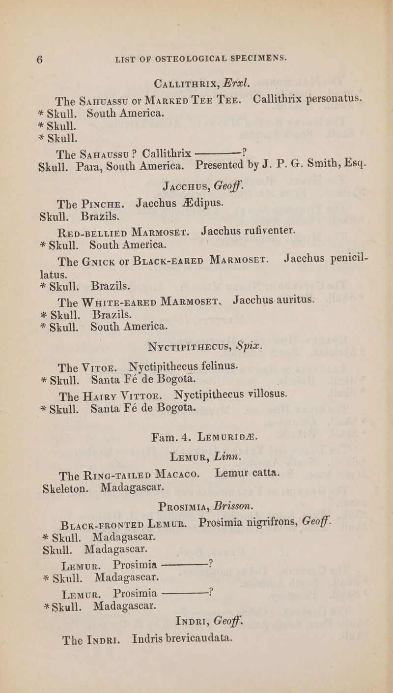 CaLuiTurix, Are. The Sanvassu or Marxep Tee Ter. Callithrix personatus. * Skull. South America. * Skull. * Skull. The Sanaussu ? Callithrix P Skull. Para, South America. Presented by J. P. G. Smith, Esq. Jaccuus, Geoff. The Pincus. Jacchus Adipus. Skull. Brazils. Rep-BELLIED Marmoset. Jacchus rufiventer. * Skull. South America. The Gnick or Buack-EaRED Marmoset. Jacchus penicil- latus. * Skull. Brazils. The Wuitre-EarED Marmoser, Jacchus auritus. * Skull. Brazils. * Skull. South America. NyctipitHects, Spier. The Vitor. Nyctipithecus felinus. *Skull. Santa Fé de Bogota. The Harry Vitror. Nyctipithecus villosus. *Skull. Santa Fe de Bogota. Fam. 4. LEMURIDE. Lemur, Linn. The Rinc-TatLtED Macaco. Lemur catta. Skeleton. Madagascar. Prosimia, Brisson. Brack-Frontep Lemur. Prosimia nigrifrons, Geoff. * Skull. Madagascar. Skull. Madagascar. Lemur. Prosimia —-————? * Skull. Madagascar. Lemur. Prosimia —————? *Skull. Madagascar. Inpri, Geoff. The Inpri. Indris brevicaudata.