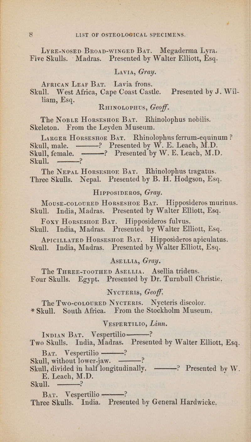 LyrE-NosED Broap-wincEeD Bat. Megaderma Lyra. Five Skulls. ‘Madras. Presented by Walter Elliott, Esq. Lavia, Gray. Arrican Lear Bat. Lavia frons. Skull. West Africa, Cape Coast Castle. Presented by J. Wil- liam, Esq. RHINOLOPHtS, Geoff. The Nosie HorsEsHor Bat. Rhinolophus nobilis. Skeleton. From the Leyden Museum. Larcer HorsesHoe Bat. Rhinolophus ferrum-equinum ? Skull, male. ? Presented by W. E. Leach, M.D. Skull, female. P Presented by W. E. Leach, M.D. Skull. The Nepat Horsesnor Bat. Rhinolophus tragatus. Three Skulls. Nepal. Presented by B. H. Hodgson, Esq. x HipposipEros, Gray. MovseE-coLourED HorsesHorE Bat. Hipposideros murinus. Skull. India, Madras. Presented by Waiter Elliott, Esq. Foxy HorsesHot Bar. Hipposideros fulvus. Skull. India, Madras. Presented by Walter Elliott, Esq. APICILLATED HorsEsHOE Bat. Hipposideros apiculatus. Skull. India, Madras. Presented by Walter Elliott, Esq. ASELLIA, Gray. The THrEE-TOOoTHED AsELLIA. Asellia tridens. Four Skulls. Egypt. Presented by Dr. Turnbull Christie. Nycteris, Geoff. The Two-cotourep NycreEris. Nycteris discolor. * Skull. South Africa. From the Stockholm Museum. VESPERTILIO, Linn. Inpian Bat. Vespertilio E Two Skulls. India, Madras. Presented by Walter Elliott, Esq. ¥ Bar. Vespertilio Skull, without lower-jaw. p Skull, divided in half longitudinally. ay Leach, M.D. Skull. P Bat. Vespertilio ———? Three Skulls. India. Presented by General Hardwicke. ? Presented by W.