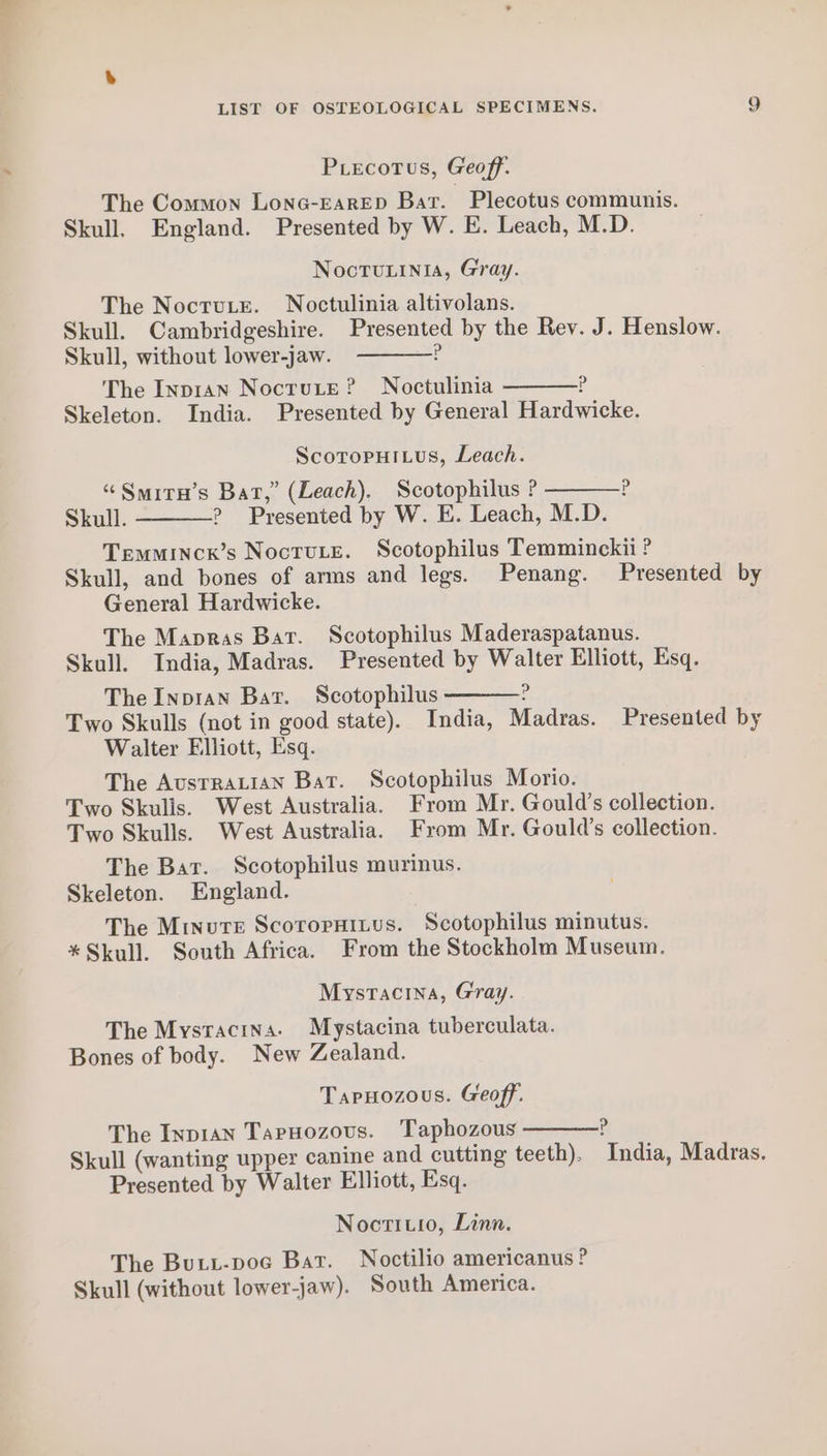 PLecotus, Geoff. The Common Lonc-EARED Bar. Plecotus communis. Skull. England. Presented by W. E. Leach, M.D. Noctuinia, Gray. The Noctute. Noctulinia altivolans. Skull. Cambridgeshire. Presented by the Rev. J. Henslow. Skull, without lower-jaw. ? The Inpian Nocrute? Noctulinia p Skeleton. India. Presented by General Hardwicke. Scotopuitus, Leach. “ Smiru’s Bat,” (Leach). Scotophilus ? p Skull. ? Presented by W. E. Leach, M.D. Temminck’s Noctu.te. Scotophilus Temminckii ? Skull, and bones of arms and legs. Penang. Presented by General Hardwicke. The Mapras Bat. Scotophilus Maderaspatanus. Skull. India, Madras. Presented by Walter Elliott, Esq. The Inpran Bar. Scotophilus ? Two Skulls (not in good state). India, Madras. Presented by Walter Elliott, Esq. The AusrraLian Bat. Scotophilus Morio. Two Skulls. West Australia. From Mr. Gould’s collection. Two Skulls. West Australia. From Mr. Gould’s collection. The Bar. Scotophilus murinus. Skeleton. England. The Minute Scoropnitus. Scotophilus minutus. *Skull. South Africa. From the Stockholm Museum. Mystacina, Gray. The Mystacina. Mystacina tuberculata. Bones of body. New Zealand. Tapuozous. Geoff. The Inp1An Taruozous. Taphozous ? Skull (wanting upper canine and cutting teeth). India, Madras. Presented by Walter Elliott, Esq. Noctitio, Linn. The Butu-poc Bar. Noctilio americanus ? Skull (without lower-jaw). South America.