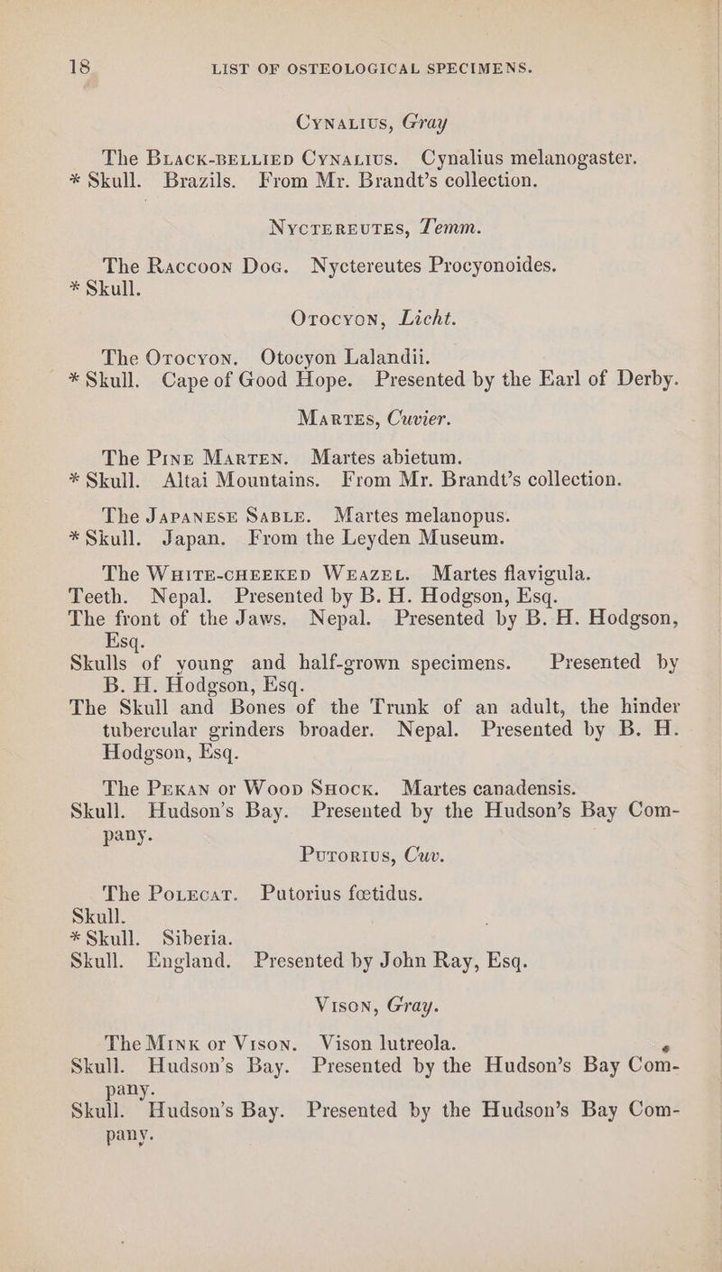 Cynatius, Gray The Brack-BELLIED Cynatius. Cynalius melanogaster. * Skull. Brazils. From Mr. Brandt’s collection. Nycrerevutes, Temm. The Raccoon Dog. Nyctereutes Procyonoides. * Skull. Orocyon, Licht. The Orocyon. Otocyon Lalandii. * Skull. Cape of Good Hope. Presented by the Earl of Derby. Martes, Cuvier. The Prine Marten. Martes abietum. * Skull. Altai Mountains. From Mr. Brandt’s collection. The Japanese SABLE. Martes melanopus. * Skull. Japan. From the Leyden Museum. The WHITE-CHEEKED WeEazEL. Martes flavigula. Teeth. Nepal. Presented by B. H. Hodgson, Esq. The front of the Jaws. Nepal. Presented by B. H. Hodgson, Esq. Skulls of young and half-grown specimens. Presented by B. H. Hodgson, Esq. The Skull and Bones of the Trunk of an adult, the hinder tubercular grinders broader. Nepal. Presented by B. H. Hodgson, Esq. The Pexan or Woop SHocx. Martes canadensis. Skull. Hudson’s Bay. Presented by the Hudson’s Bay Com- pany. Pourorius, Cuv. The Potecat. Putorius feetidus. Skull. *Skull. Siberia. Skull. England. Presented by John Ray, Esq. Vison, Gray. The Minx or Vison. Vison lutreola. Skull. Hudson’s Bay. Presented by the Hudson’s Bay Com- pany. Skull. Hudson’s Bay. Presented by the Hudson’s Bay Com- pany.