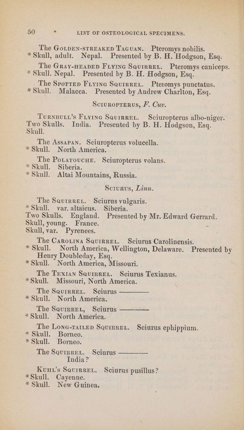 The GoLDEN-sTREAKED TaGuan. Pteromys nobilis. * Skull, adult. Nepal. Presented by B. H. Hodgson, Esq. The Gray-HEADED Fyne SquirreL. Pteromys caniceps. * Skull. Nepal. Presented by B. H. Hodgson, Esq. _ The Sporrep Fiyine Sauirrer. Pteromys punctatus. * Skull. Malacca. Presented by Andrew Charlton, Esq. Scruroprerus, JF. Cuv. Turnpuii’s Fryine Seurrret. Sciuropterus albo-niger. Two Skulls. India. Presented by B. H. Hodgson, Esq. Skull. The Assapan. Sciuropterus volucella. * Skull. North America. The Potaroucue. Sciuropterus volans. * Skull. Siberia. * Skull. Altai Mountains, Russia. Sciurus, Linn. The Seurrrex. Sciurus vulgaris. *Skull. var. altaicus. Siberia. Two Skulls. England. Presented by Mr. Edward Gerrard. Skull, young. France. 2 Skull, var. Pyrenees. | The Caroxina Seuirret. Sciurus Carolinensis. * Skull. North America, Wellington, Delaware. Presented by Henry Doubleday, Esq. * Skull. North America, Missouri. The Trexian SaurrreEu. Sciurus Texianus. *Skull. Missouri, North America. The Seurrreu. Sciurus * Skull. North America. The SevrrreL, Sciurus * Skull. North America. The Lone-rattep Squirrer. Sciurus ephippium. * Skull. Borneo. * Skull. Borneo. The Squrrrev. Sciurus India ? Kuuv’s Saurrret. Sciurus pusillus? *Skull. Cayenne. * Skull. New Guinea.