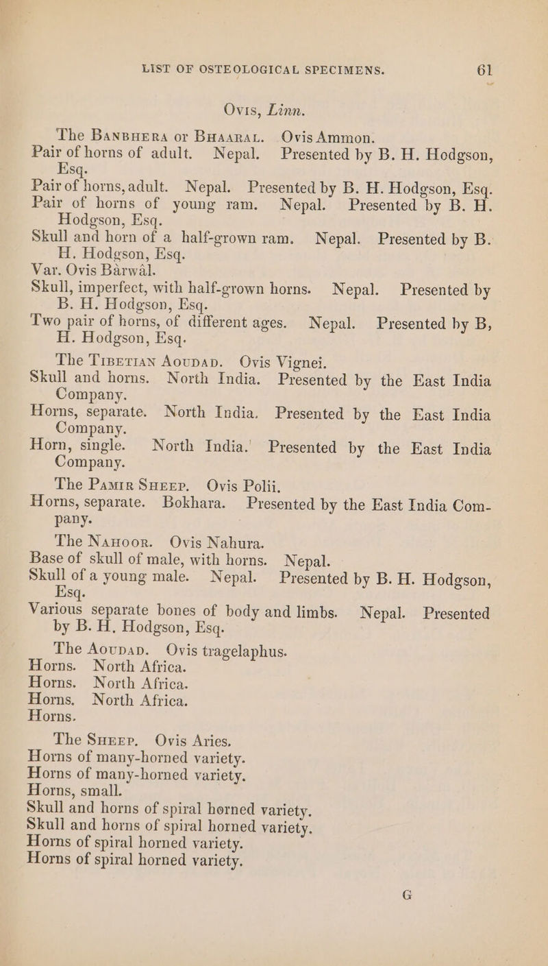Ovis, Linn. The Bansuera or BHaarart. Ovis Ammon. Pair of horns of adult. Nepal. Presented by B. H. Hodgson, Esq. Pair of” horns,adult. Nepal. Presented by B. H. Hodgson, Esq. Pair of horns of young ram. Nepal. Presented by B. H. Hodgson, Esq. Skull and horn of a half-grown ram. Nepal. Presented by B. H. Hodgson, Esq. Var. Ovis Barwal. Skull, imperfect, with half-grown horns. Nepal. Presented by B. H. Hodgson, Esq. Two pair of horns, of different ages. Nepal. Presented by B, H. Hodgson, Esq. The Trserian Aoupap. Ovis Vignei. Skull and homs. North India. Presented by the East India Company. Horns, separate. North India. Presented by the East India Company. Horn, single. North India. Presented by the East India Company. The Pamir Sueerp. Ovis Polii, Horns, separate. Bokhara. Presented by the East India Com- pany. The Nanoor. Ovis Nahura. Base of skull of male, with horns. N epal. Skull of a young male. Nepal. Presented by B. H. Hodgson, Esq. Various separate bones of body and limbs. Nepal. Presented by B. H, Hodgson, Esq. The Aoupap. Ovis tragelaphus. Horns. North Africa. Horns. North Africa. Horns. North Africa. Horns. The Surep. Ovis Aries. Horns of many-horned variety. Horns of many-horned variety. Horns, small. Skull and horns of spiral horned variety. Skull and horns of spiral horned variety. Horns of spiral horned variety. Horns of spiral horned variety.