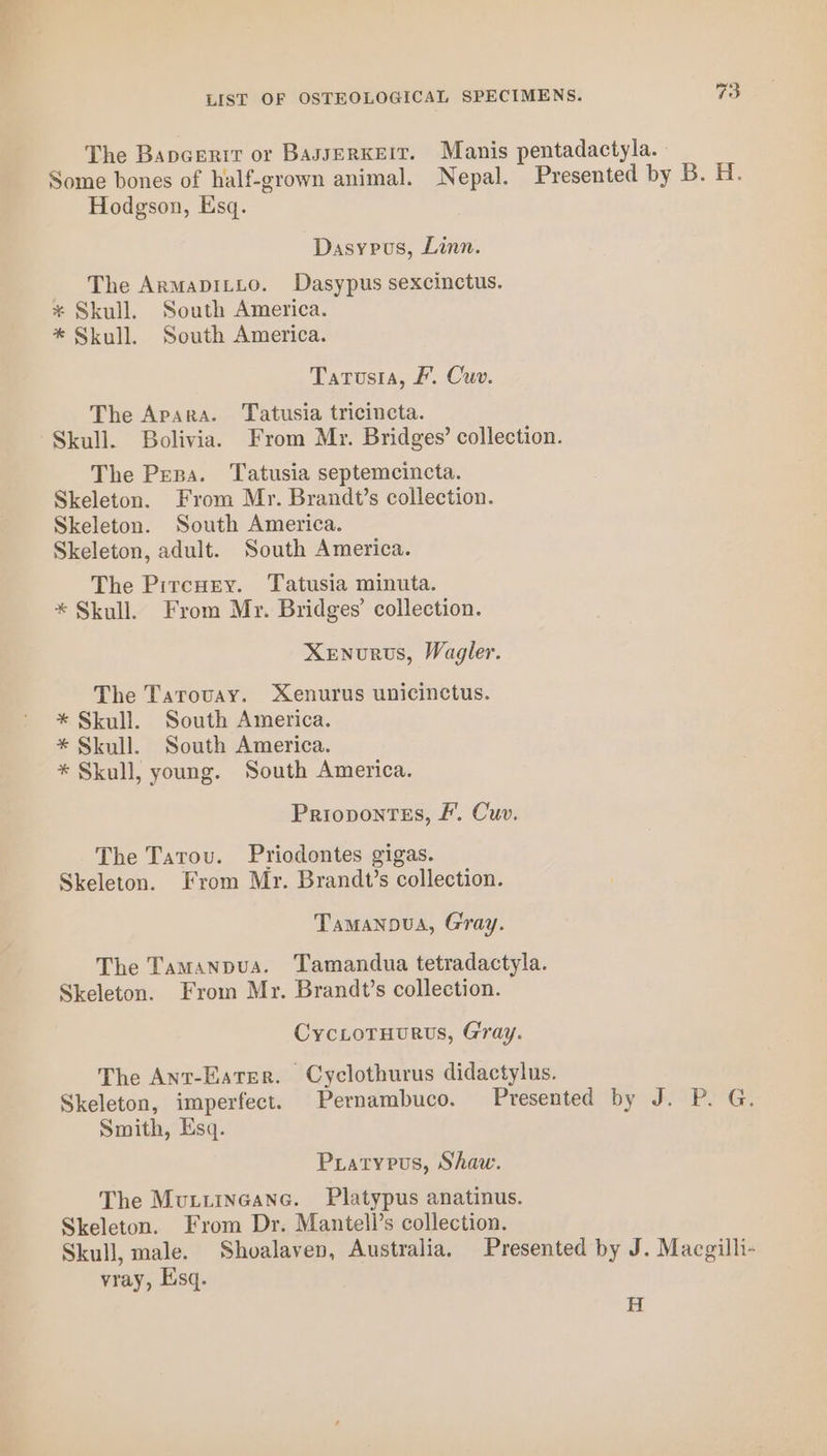 The Bancerir or BasserKeIr. Manis pentadactyla. Some bones of half-grown animal. Nepal. Presented by B. H. Hodgson, Esq. Dasypos, Linn. The ArmaDILLo. Dasypus sexcinctus. * Skull. South America. * Skull. South America. Tatusia, PF’. Cuv. The Apara. Tatusia tricincta. Skull. Bolivia. From Mr. Bridges’ collection. The Pena. Tatusia septemcincta. Skeleton. From Mr. Brandt’s collection. Skeleton. South America. Skeleton, adult. South America. The Pircnry. Tatusia minuta. * Skull. From Mr. Bridges’ collection. Xenvrus, Wagler. The Tarovay. Xenurus unicinctus. * Skull. South America. * Skull. South America. * Skull, young. South America. Priopontss, Ff’. Cuv. The Tarou. Priodontes gigas. Skeleton. From Mr. Brandt’s collection. Tamanova, Gray. The Tamanpua. Tamandua tetradactyla. Skeleton. From Mr. Brandt’s collection. CycLotuurvs, Gray. The Ant-Eater. Cyclothurus didactylus. Skeleton, imperfect. Pernambuco. Presented by J. P. G. Smith, Esq. Pratypus, Shaw. The Mutuineanc. Platypus anatinus. Skeleton. From Dr. Mantell’s collection. Skull, male. Shoalaven, Australia, Presented by J. Macgilli- vray, Esq. H