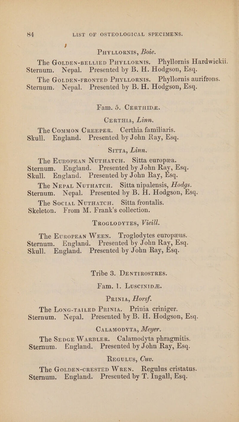 F Puy.uornis, Bove. The GonpDEN-BELLIED Puytiornts. Phyllornis Hardwickii. Sternum. Nepal. Presented by B. H. Hodgson, Esq. The GoLpEN-FRONTED Puytiornis. Phyllornis aurifrons. Sternum. Nepal. Presented by B. H. Hodgson, Esq. Fam. 5. CERTHIDE. Certuia, Linn. The Common Creeper. Certhia familiaris. Skull. England. Presented by John Ray, Esq. ; Sirta, Linn. The European Nutuwatcn. Sitta europea. Sternum. England. Presented by John Ray, Esq. Skull. England. Presented by John Ray, Esq. The Nepat Nurwatcu. Sitta nipalensis, Hodgs. Sternum. Nepal. Presented by B. H. Hodgson, Esq. The SocraL NuruatcH. Sitta frontalis. Skeleton. From M. Frank’s collection. Trociopytes, Vievll. The Evropean WEEN. ‘Troglodytes europeus. Sternum. England. Presented by John Ray, Esq. Skull. England. Presented by John Ray, Esq. Tribe 3. DENTIROSTRES. Fam. 1. Luscrnip&amp;. Prinia, Horsf. The Lonc-raiLep Printa. Prinia criniger. Sternum. Nepal. Presented by B. H. Hodgson, Esq. CaLamopyta, Meyer. The Sence WarsiterR. Calamodyta phragmitis. Sternum. England. Presented by John Ray, Esq. Reeutvs, Cuv. The GoLtDEN-cRESTED WrEN. Regulus cristatus.