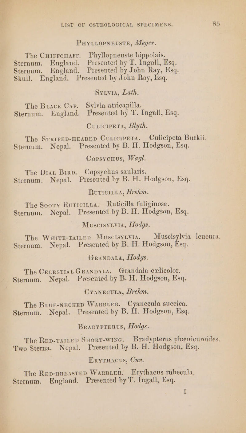 halo Fy LIST OF OSTEOLOGICAL SPECIMENS. 85 PHYLLOPNEUSTE, Meyer. The Cuirrcuarr. Phyllopneuste hippolais. Sternum. England. Presented by T. Ingall, Esq. Sternum. England. Presented by John Ray, Esq. Skull. England. Presented by John Ray, Esq. Syuivia, Lath. The Buack Cap. Sylvia atricapilla. Sternum. England. Presented by T. Ingall, Esq. Cuxicipeta, Blyth. The SvrRipED-HEADED CuuicrpeTa. Culicipeta Burkii. Sternum. Nepal. Presented by B. H. Hodgson, Esq. Copsycuus, Wagl. The Diat Birp. Copsychus saularis. Sternum. Nepal. Presented by B. H. Hodgson, Esq. Rouriciiia, Brehm. The Sooty Ruricitua. Ruticilla fuliginosa. Sternum. Nepal. Presented by B. H. Hodgson, Esq. Muscisytvia, Hodgs. The WuHiteE-TAILED MusScISYLVIA. Muscisylvia leucura. Sternum. Nepal. Presented by B. H. Hodgson, Esq. GranpDALa, Hodgs. The CeLESTIALGRANDALA. Grandala celicolor. Sternum. Nepal. Presented by B. H. Hodgson, Esq. CyanecuLa, Brehm. The BLug-NECKED WarRBLER. Cyanecula suecica. Sternum. Nepal. Presented by B. H. Hodgson, Esq. Brapyprerus, Hodgs. The Rep-TAILED SuHort-winc. Bradypterus phenicuroides. Two Sterna. Nepal. Presented by B. H. Hodgson, Esq. Erytuacus, Cuv. The Rep-BREASTED WarsieR. Erythacus rubecula. Sternum. England. Presented by T. Ingall, Esq. I