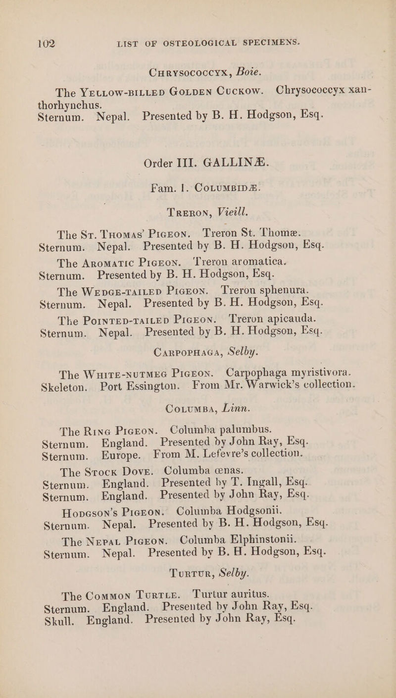 Curysococcyx, Bore. The YELLOW-BILLED GoLpDEN Cuckow. Chrysococeyx xan- thorhynchus. Sternum. Nepal. Presented by B. H. Hodgson, Esq. Order III. GALLINZ. Fam. |. CoLUMBIDZ. Treron, Vieill. The Sr. THomas’ PIGEON. Treron St. Thome. Sternum. Nepal. Presented by B. H. Hodgson, Esq. The Aromatic Prgzon. ‘Treron aromatica. Sternum. Presented by B. H. Hodgson, Esq. The WepGE-TAILED Prazon. Treron sphenura. Sternum. Nepal. Presented by B. H. Hodgson, Esq. The PornTED-TaILED Pigeon. Treron apicauda. Sternum. Nepal. Presented by B. H. Hodgson, Esq. CarpopHaaa, Selby. The WuiTE-NuTMEG Pigeon. Carpophaga myristivora. Skeleton. Port Essington. From Mr. Warwick’s collection. CotumBa, Linn. The Rina Prceon. Columba palumbus. Sternum. England. Presented by John Ray, Esq. Sternum. Europe. From M. Lefevre’s collection. The Stock Dove. Columba cenas. Sternum. England. Presented by T. Ingall, Esq. Sternum. England. Presented by John Ray, Esq. Hopeson’s Piezon. Columba Hodgsonii. Sternum. Nepal. Presented by B. H. Hodgson, Esq. The Nevat Pigeon. Columba Elphinstonii. Sternum. Nepal. Presented by B. H. Hodgson, Esq. Tourtor, Selby. The Common TurTLE. Turtur auritus. Sternum. England. Presented by John Ray, Esq. Skull. England. Presented by John Ray, Esq.