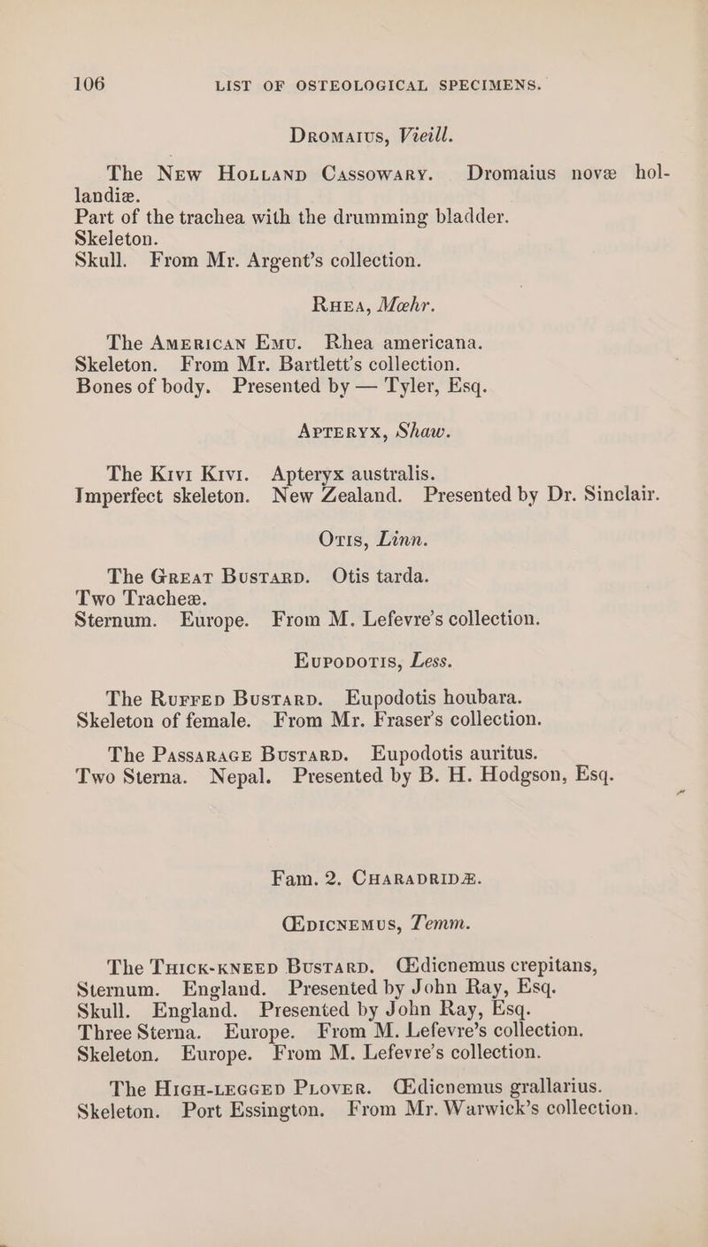 Dromatvs, Vieill. The New Houtanp Cassowary. Dromaius nove hol- landie. Part of the trachea with the drumming bladder. Skeleton. Skull. From Mr. Argent’s collection. RueEa, Mehr. The AmERicAN Emu. Rhea americana. Skeleton. From Mr. Bartlett’s collection. Bones of body. Presented by — Tyler, Esq. ArTrEryYx, Shaw. The Kivi Kivi. Apteryx australis. Imperfect skeleton. New Zealand. Presented by Dr. Sinclair. Otis, Linn. The Great Bustarp. Otis tarda. Two Trachee. Sternum. Europe. From M. Lefevre’s collection. Evpopotis, Less. The Rurrep Bustarp. Eupodotis houbara. Skeleton of female. From Mr. Fraser's collection. The Passarace Busrarp. Eupodotis auritus. Two Sterna. Nepal. Presented by B. H. Hodgson, Esq. Fam. 2. CHARADRIDZ. Cipicnemus, Temm. The Tuick-KNEED Bustarp. Cidicnemus crepitans, Sternum. England. Presented by John Ray, Esq. Skull. England. Presented by John Ray, Esq. Three Sterna. Europe. From M. Lefevre’s collection. Skeleton. Europe. From M. Lefevre’s collection. The Higu-LeGcepD Piover. Cédicnemus grallarius. Skeleton. Port Essington. From Mr. Warwick’s collection.