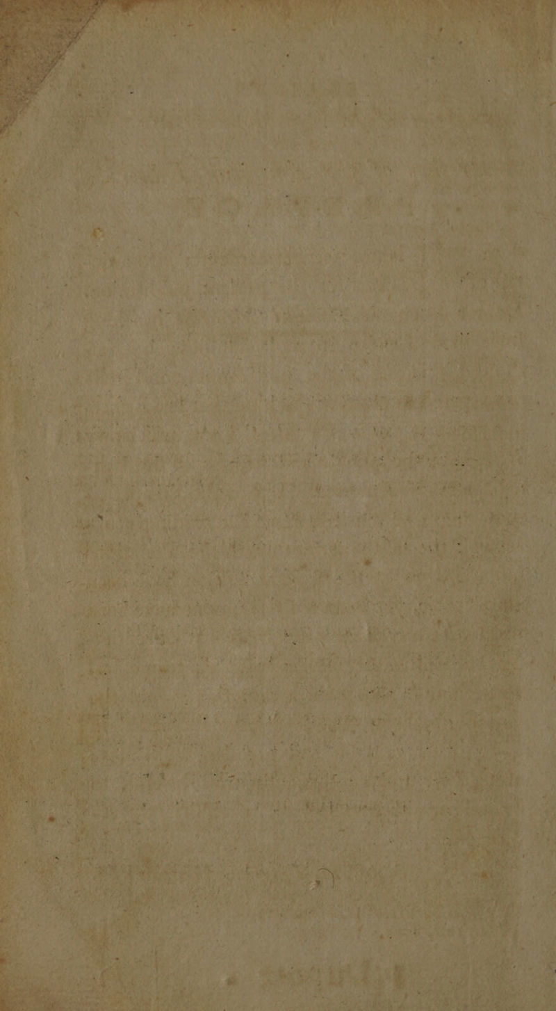 PA Re M's a ee Seek a am Py! Sol a t Pax. SR ee me. i, oe 4 ; ‘ k “yi a 