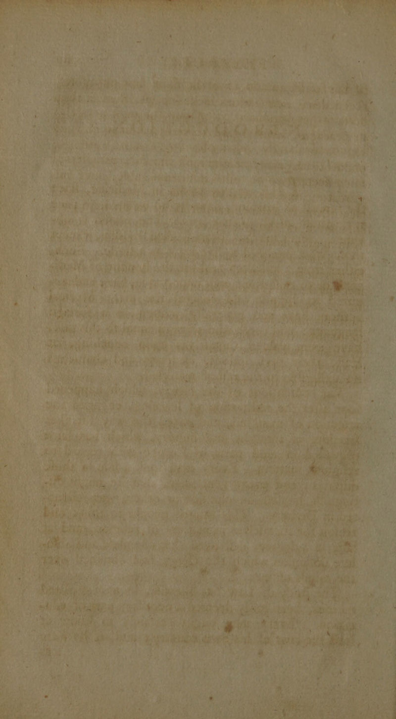 e778 ny Corbet oe i ih Ny tN SHE: es “ Rites sAust as ee Be * tie, iy ‘papi Se \ ae ae: San baie. 2 a Hy AOA se Ms JRE ERS. ih ‘ on . Fok mete WY Oe, Ae Re ta pt et us &amp; et tate elt wa) oe he netsh ae Bic ueen seh =e HH gitar ns, te en bad dein apy) Ps Nie ! si apithosh. ee ee 