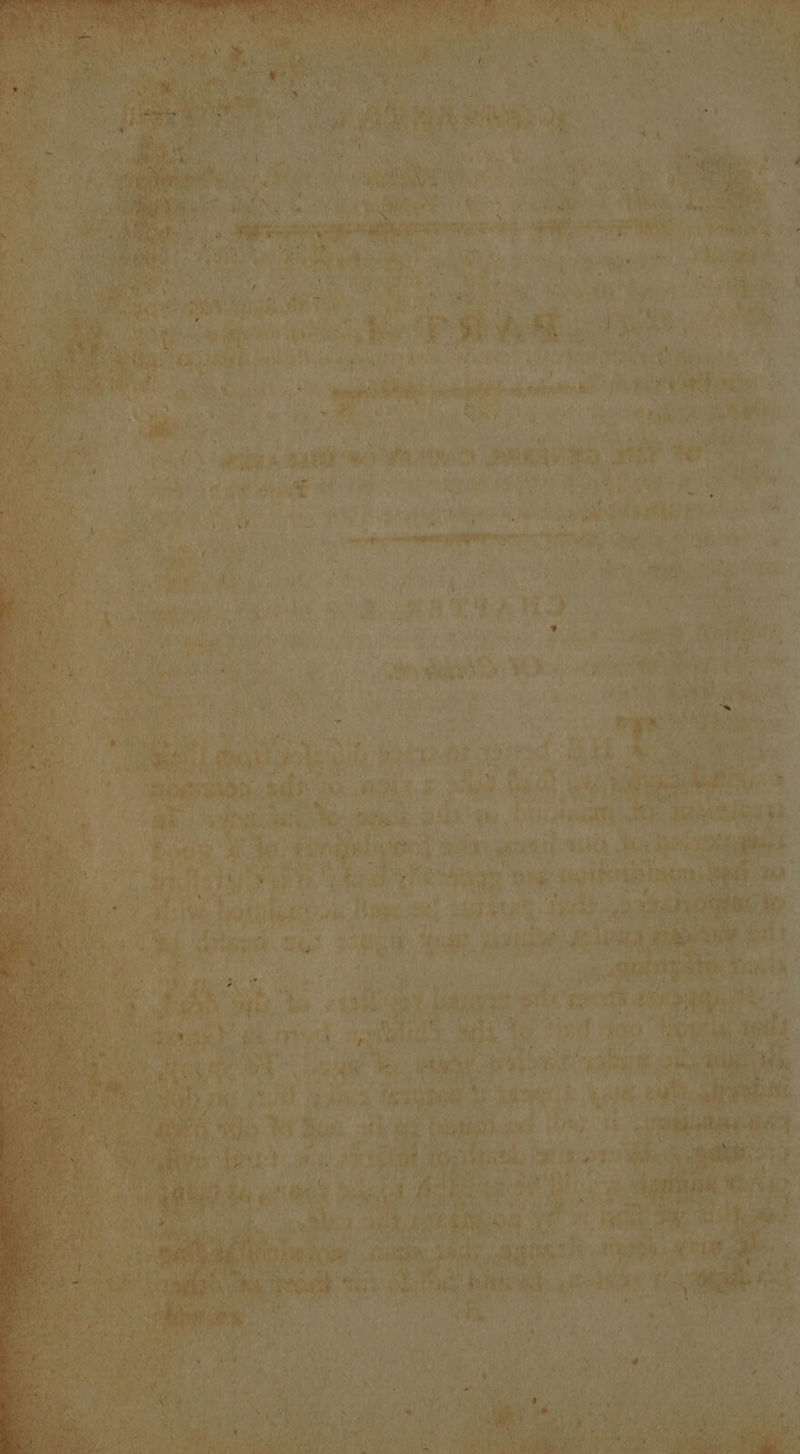 7 ans ee eS 4 ig : ae. | Me 054 bhai <a ih or ra * i ade ee sit ‘thy .
