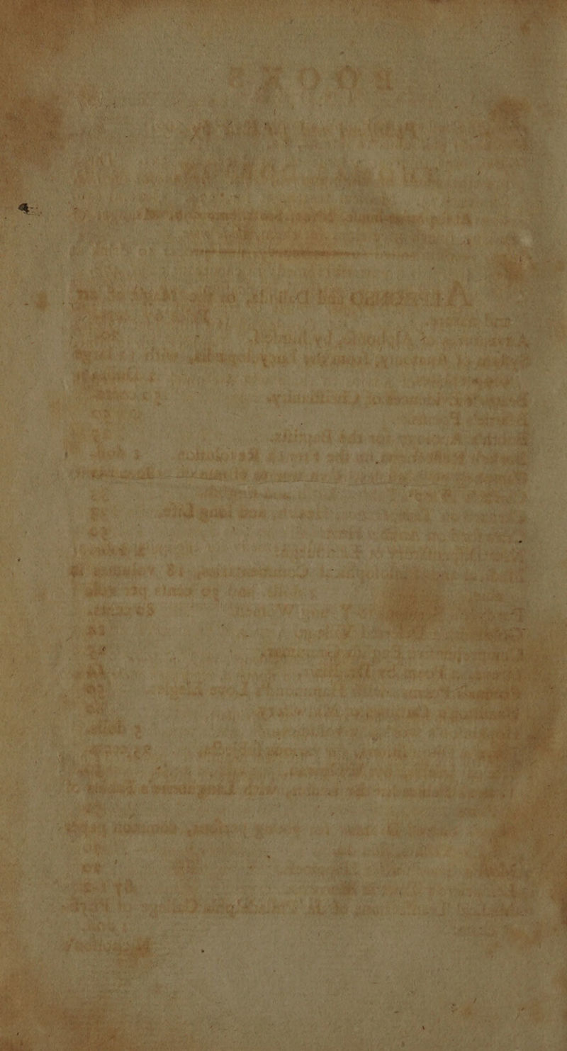 MW “ait ee &amp; és sth eo cies pola 98h #4 410 bas | . ereeras 