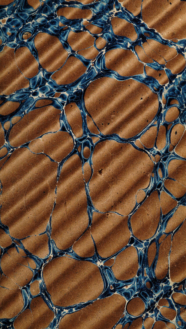 digitised image 3