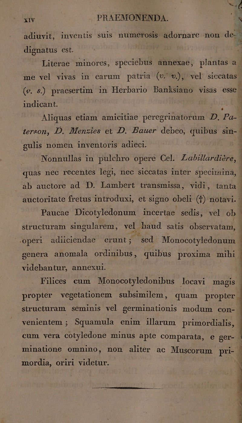 dignatus est. indicant. $ gulis nomen. inventoris adieci. Muf. e ab auctore ad D. Lambert transmissa, vidi, tanta [4 structuram singularem, vel haud satis observatam, S videbantur, annexui. venientem ; Squamula enim illarum primordialis, mordia, oriri videtur. Or. » ME DP UE t dice lE s n c EM Ru n a