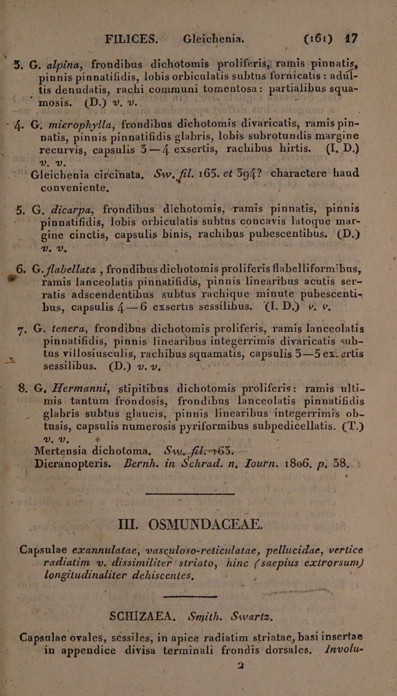 E alpina, frondibus dichotomis proliferis; ramis pinnatis, 4 E : ; ; : ; , l4 - t pinnis pinnatifidis, lobis orbiculatis subtus fornicatis : adül- tis denudatis, rachi communi tomentosa: partialibus squa- ' mosis. (D.) v. v.. MEET : c4 G. mierophylla, frondibus dichotomis divaricatis, ramis pin- nalis, pinnis pinnatifidis glabris, lobis subrotundis margine r . recurvis, capsulis 5 — 4 exserüs, rachibus hirtis. — (IL. D.) v. v. : | ! Gleichenia circinata, Sw, fil. 165. et 594? : charactere haud conveniente, LI 5. G. dicarpa, frondibus dichotomis, -ramis pinnatis, pinnis pinnatifidis, lobis orbiculatis subtus concavis latoque mar-. gine cinctis, capsulis binis, rachibus pubescentibus, (D.) UP 7. j à 6. G. flabellata , frondibus dichotomis proliferis flabelliformibus, ramis lanceolatis pinnatifidis, pinnis linearibus acutis ser- ratis adscendentibus subtus rachique minute pubescenti- bus, capsulis 4 — 6 exsertis sessilibus. (I. D.) v. v. 7. G. tenera, frondibus dichotomis proliferis, ramis lanceolatis pinnatifidis, pinnis linearibus integerrimis divaricatis sub- TE tus villosiusculis, rachibus squamatis, capsulis 5—5 ex. ertis sessilibus. (D.) v.», 8. G, Hermanni, stipitibus. dichotomis proliferis: ramis ulti- mis tantum frondosis, frondibus lanceolatis pinnatifidis glabris subtus glaucis, pinnis linearibus integerrimis ob- . tusis, capsulis numerosis pyriformibus subpedicellatis. (T.) OM TNETE ' - Mertensia dichotoma, $4y, i/.-1635. Dieranopteris. Jernh. in Schrad. n, Zourn. 1806, p. 58. * - ES - III. OSMUNDACEAF. Capsulae exannulatae, vasculoso-reticulatae, pellucidae, vertice radiatim «. dissimiliter 'striato, hinc (saepius extrorsum) longitudinaliter dehiscentes, | L4 SCHIZAEA, Smith. Swartz. Capsulae ovales, sessiles, in apice radiatim striatae, basi insertae in appendice divisa terminali frondis dorsales, Znvolu- 2