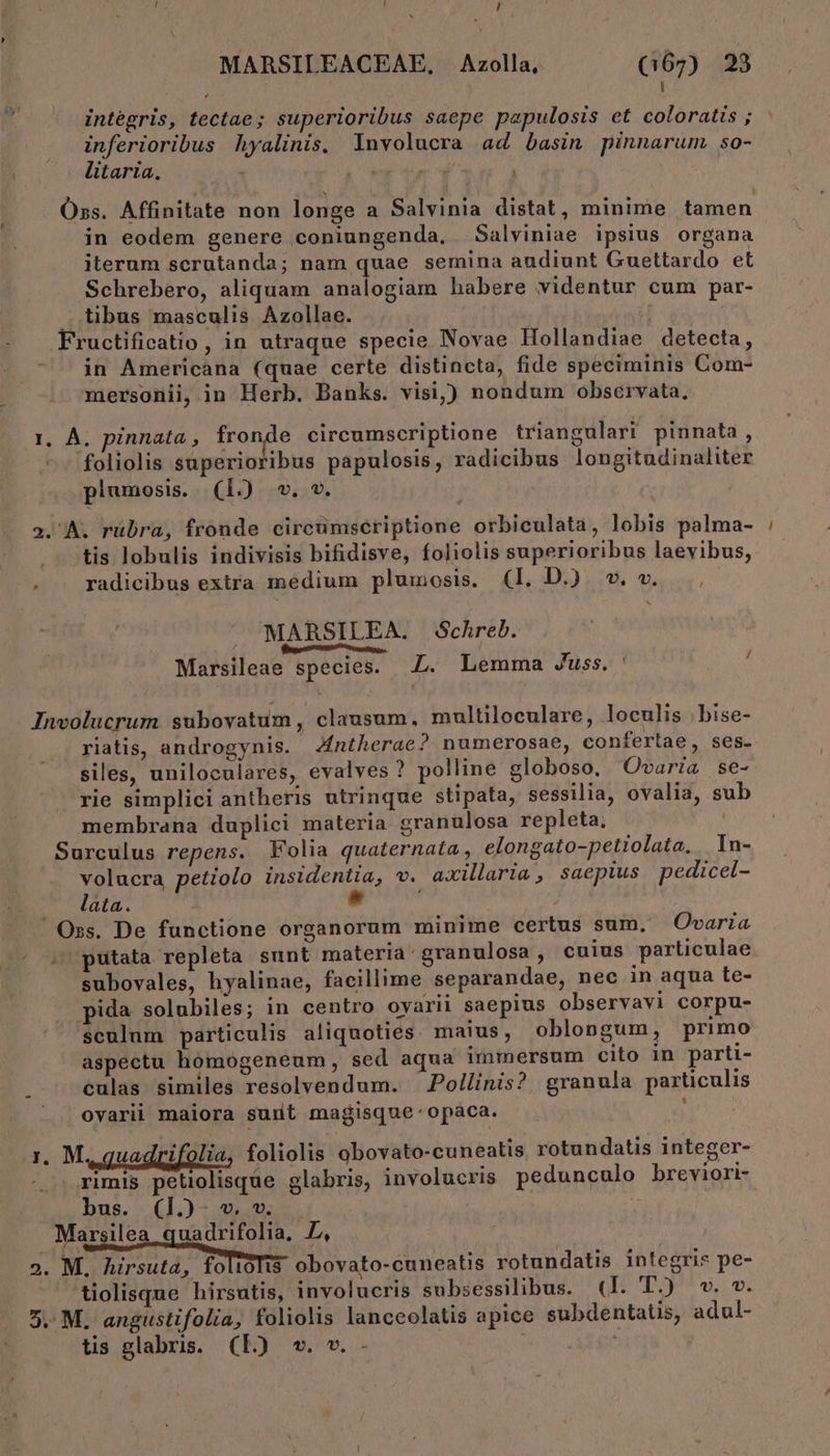 ! L , MARSILEACEAE, Azolla, (167) 23 ' l intégris, tectae; superioribus saepe papulosis et coloratis ; inferioribus hyalinis, Involucra ad basin pinnarum so- litaria. jas Oss. Affinitate non longe a Salvinia distat, minime tamen in eodem genere coniungenda, Salviniae ipsius organa iterum scrutanda; nam quae semina audiunt Guettardo et Schrebero, aliquam analogiam habere videntur cum par- .. tibus masculis Azollae. «| Fructificatio, in utraque specie Novae Hollandiae detecta, in Americana (quae certe distincta, fide speciminis Com- mersonii, in Herb. Banks. visi,) nondum observata. 1, A. pinnata, fronde circumscriptione triangulari pinnata , foliolis superioribus papulosis, radicibus longitudinaliter plumosis. (1.) v. v. 2. A. rübra, fronde circumsceriptione orbiculata, lobis palma- . . tis lobulis indivisis bifidisve, foliolis superioribus laevibus, . . radicibus extra medium plumosis. (1l. D.) v.v. MARSILEA. Schreb. : [ i M Marsileae species. L. Lemma Juss. Involucrum subovatum , clausum, multiloculare, loculis | bise- riatis, androgynis. Zfntherae? numerosae, confertae, ses. siles, uniloculares, evalves? polline globoso. Ovaria se- rie simplici antheris utrinque stipata, sessilia, ovalia, sub membrana duplici materia granulosa repleta, Surculus repens. Folia quaternata , elongato-petiolata, In- volucra petiolo insidentia, v. axillaria , saepius pedicel- m att. * J, | Oss. De functione organorum minime certus sum, Ovaria ^putata repleta sunt materia granulosa , cuius particulae subovales, hyalinae, facillime separandae, nec in aqua te- pida solubiles; in centro oyarii saepius observavi corpu- sculum particulis aliquoties. maius, oblongum, primo aspectu homogeneum, sed aqua immersum cito in parti- culas similes resolvendum. 'Pollinis? granula particulis ovarii maiora sunt magisque -opaca. : 1. M. quadrifolia, foliolis obovato-cuneatis rotundatis integer- rimis petiolisque glabris, involucris pedunculo breviori- bus. (1.- v. v. Marsilea quadrifolia. L, 2. M. Rirsuta, folioTis obovato-cuneatis rotundatis integris pe- tiolisque hirsutis, involucris subsessilibus. (1I. T.) wv. v. 5. M. angustifolia, foliolis lanceolatis apice subdentatis, adul-