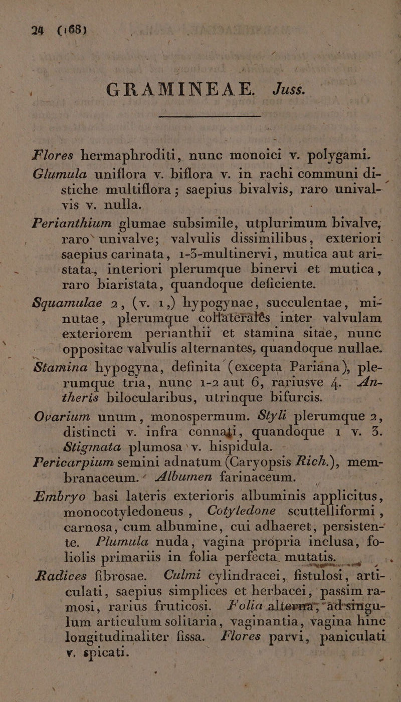 i GRAMINEAE. Juss. - Flores hermaphroditi, nunc monoici v. polygami. Giumula uniflora v. biflora v. in rachi communi di- stiche multiflora ; saepius bivalvis, raro unival- vis v, nulla. ' Perianthium glumae subsimile, utplurimum bivalve, raro univalve; valvulis dissimilibus, exteriori saepius carinata, 1-5-multinervi, mutica aut ari- stata, interiori plerumque binervi et mutica, raro biaristata, quandoque deficiente. : Squamulae 2, (v. 1,) hypogynae, succulentae, mi- nutae, plerumque colaterálés inter valvulam exteriorem perianthii et stamina sitae, nunc . . oppositae valvulis alternantes, quandoque nullae. Stamina hypogyna, definita (excepta Pariàna), ple- rumque tria, nunc i-2aut 6, rariusve 4. 24n- theris bilocularibus, utrinque bifurcis. -Orarium unum, monospermum. Sfyli plerumque 2, distincti v. infra connaji, quandoque 1 v. 5. Stigmata plumosa'v. hispidula. | | Pericarpium semini adnatum (Caryopsis Zch.), mem- branaceum.^ 44ibumen farinaceum. m Embryo basi lateris exterioris albuminis applicitus, monocotyledoneus , Cozyledone scuttelliformi , carnosa, cum albumine, cui adhaeret, persisten- te. Plumula nuda, vagina propria inclusa, fo- liolis primariis in folia perfecta mutatus. | aM mosse v , Radices fibrosae. | Culmi cylindracei, fistulosi, arti- . culati, saepius simplices et herbacei, passim ra- mosi, rarius fruticosi. olia alte»w25 'ad'smgu- Ium articulum solitaria, vaginantia, vagina hinc longitudinaliter fissa. Z7ores parvi, paniculati v. $picat.