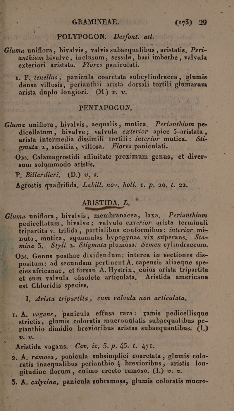 POLYPOGON. JDesfont. atl. Gluma uuiflora, bivalvis, valvis subaequalibus , aristatis, Peri- anthium bivalve, inclusum, sessile, basi imberbe , valvula , exteriori aristata. J7/ores paniculati. 1. P. tenellus, panicula coarctata subcylindracea , glumis dense villosis, perianthit arista dorsali tortili glamarum arista duplo longiori. (M) v. v. | s l PENTAPOGON, * Gluma uniflora, bivalvis, aequalis, mutica, Perianthium pe- - dicellatum, bivalve; valvula exterior apice 5-aristata , arista intermedia dissimili tortili: interior mutica. . Sti- gmata 2, sessilia, villosa. F7ores paniculati. | Oss, Calamagrostidi affinitate proximum genus, et diver- sum solummodo aristis, : | P. Billardieri, (D.) v. s. Agrostis quadrifida. Labill. nov. holl. 1. p. 20. t. 22. ARISTIDA. L. ' j mna Gluma wniflora, bivalvis, membranacea, laxa. Perianthium pedicellatum, bivalve; valvula exterzor arista terminali tripartita v. trifida, partialibus conformibus: Znterior mi- ! nuta, mutica, squamulas hypogynas vix superans, $ta- |. mina 5. Styli 2. Stigmata plumosa. Semen cylindraceum. DM Ozs. Genus posthac dividendum; interea in sectiones dis- ; positum: ad secundam pertinent A. capensis aliaeque spe-  — eies africanae, et forsan A. Hystrix, cuius arista tripartita et cum valvula obsolete articulata, — Áristida americana est Chloridis species, I. Arista tripartita, cum valvula non articulata, i. À. vagans, panicula effusa rara: ramis pedicellisque strictis, glumis coloratis mucronülatis subaequalibus pe- rianthio dimidio brevioribus aristas subaequantibus. (L.) v. v. | : Aristida vagans. Cav, ic. 5. p. 45. t. 471. - 9. À. ramosa, panicula subsimplici coarctata , glumis colo- ratis inaequalibus perianthio $ brevioribus, aristis lon- gitudine florum , culmo erecto ramoso, (1.) v. v. 5. À. calycina, panicula subramosa, glumis coloratis mucro-