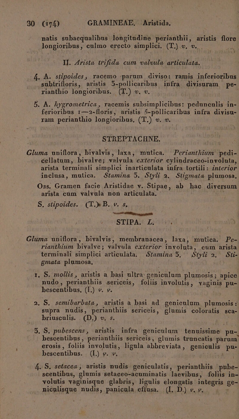 l 30 (G7) — GRAMINEAE. Aristida. ] natis subaequalibus longitudine perianthii , aristis flore longioribus, culmo erecto simplici. (T.) v. v. D E II. 4rista trifida cum valvula. articulata. 4. A. stipoides, racemo :parum diviso: ramis inferioribus subtrifloris, aristis 5-pollicaribus infra divisuram pe- riahthio longioribus. (T.) v. v. | b. À. hygrometrica , racemis subsimplicibus: pedunculis in- ferioribus 1—2-floris, aristis ^-pollicaribus infra divisu- ram perianthio longioribus, (T.) v. «. STREPTACHNE. Gluma uniflora, bivalvis, laxa, mutica. ^ Perianthium pedi- cellatum, bivalve; valvula exterior cylindraceo-involuta, arista terminali simplici inarticulata infra tortili: Znterior inclusa, mulica. dGtamina 5. Styli 2. Stigmata plumosa, Oss. Gramen facie Aristidae v. Stipae, ab hac diversum. arista cum valvula non articulata. : S. stipoides. (T. B. v. s, Most cuesta Qmd mIPAG: Liortas Gluma uniflora, bivalvis, membranacea, laxa, mutica. Pe- rianthium bivalve; valvula exterior involuta, cum arista terminali simplici articulata, — Stamina 5.' Styli 2. Sti- gmata plumosa, | r. S, mollis, aristis a basi ultra; geniculum plumosis; apice nudo, perianthiis .sericeis, foliis involutis, vaginis pu- bescentibus, (I.) v. v. 2. S. semibarbata, aristis a basi ad genieulum plumosis: supra nudis, perianthiis sericeis, glumis coloratis sca- briusculis. | (D,) v. s. 3. S. pubescens, aristis infra geniculum tenuissime pu- bescentibus, perianthiis sericeis, glumis truncatis parum. erosis, foliis involutis, ligula abbreviata, geniculis pu- bescentibus. (Ll. v. v. | Had 4. S. setacea , arisüs nudis geniculatis, perianthiis pnbe- . scentibus, glumis setaceo-acuminatis laevibus, foliis in- volutis vaginisque glabris, ligulis elongatis integris ge- niculisque nudis, panicula effusa. (I. D.) v. v. : L]