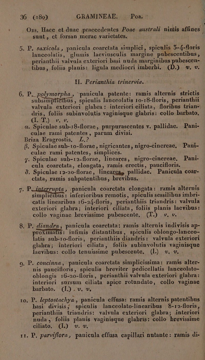 ; . A c Oxss, Haec et duae praecedentes Poae australt nimis affines sunt, et forsan merae varietates. 5, P. saxicola , panicula coarctata simplici, spiculis 5-4-floris lanceolatis, glumis laeviusculis margine pubescentibus, perianthii valvula exteriori basi nuda marginibus pubescen- tibus, foliis planis: ligula mediocri imberbi, (D.) wv. v. II. Perianthia. trinervia. 6, P. polymorpha., panicula patente: ramis alternis strictis subsimptictbus , Spiculis lanceolatis 10-18-floris, perianthii valvula exteriori glabra: interiori ciliata, floribus trian- dris, foliis. subinvolutis vaginisque glabris: collo barbato. (bs ' &amp;. Spiculae sub-18-florae, purpurascentes v. pallidae. Pani- culae rami patentes, parum divisi. Briza Eragrostis, .L.? B. Spiculae sub-ro-florae, nigricantes, nigro-cinereae, Pani- culae rami patentes, simplices. y. Spiculae sub-r2.florae, lineares, nigro-cinereae. Pani- cula coarctata, elongata, ramis erectis, paucifloris. - 9. Spiculae 12-20-florae, linearesg pallidae. Panicula coar- clata, ramis subpatentibus, brevibus, - i 7. Feduiprupia.; .panieula coarctata elongata: ramis alternis simplicibus : inferioribus remotis, spiculis sessilibus imbri- catis linearibus 16-24-floris, perianthiis triandris: valvula exteriori glabra; interiori ciliata, foliis planis laevibus: collo vaginae brevissime pubescente, (T.) v. v. 8. P. diandra, panicula coarctata: ramis alternis indivisis ap- roximatis: infimis distantibus, spiculis oblongo-lanceo- latis sub-ro-floris, perianthiis diandris: valvula exteriori glabra; interiori ciliata, foliis subinvolutis vaginisque laevibus: collo tenuissime pubescente, (1. v. v. 9. P. concinna, panicula coarctata simplicissima: ramis alter- nis paucifloris, spiculis breviter pedicellatis lanceolato- oblongis 16-20-íloris, perianthii valvula exteriori glabra: interiori sursum ciliata apice rotundato, collo vaginae barbato. (1.).v. ^, ro, P. leptostachya , panicula effusa: ramis alternis patentibus basi divisis; spiculis lanceolato-linearibus $-12-floris, erianthiis triandris: valvula exteriori glabra; interiori nuda, foliis planis vaginisque glabris: collo brevissime ciliato, (L) ». v. rr, P. parviflora, panicula effusa capillari nutante: ramis di- Á