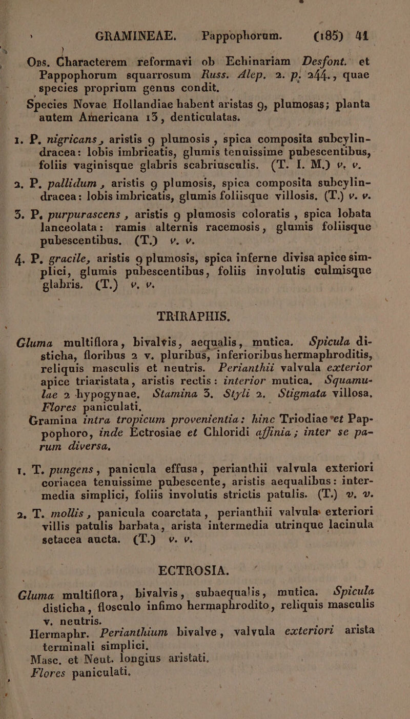 ) | | Oss. Charaeterem | reformavi ob Echinariam Desfont. et Pappophorum squarrosum /Ziuss. 4lep. 2. p. 244., quae species proprium genus condit. Species Novae Hollandiae habent aristas 9, plumosas; planta autem Arnericana 15, denticulatas. 1. P. nigricans, aristis 9 plumosis , spica composita subcylin- dracea: lobis imbrieatis, glumis tenuissime pubescentibus, . foliis vaginisque glabris scabriusculis. (T. I. M.) v. v. 3. P. pallidum , aristis 9 plumosis, spica composita subcylin- dracea: lobis imbricatis, glumis foliisque villosis. (T.) v. v. 5. P, purpurascens , aristis 9 plumosis coloratis , spica lobata lanceolata: ramis. alternis racemosis, glumis foliisque pubescentibus, (T.) vw. v. 4. P. gracile, aristis 9 plumosis, spica inferne divisa apice sim- lici, glumis pubescentibus, foliis involutis culmisque glabris. (T.) v. v. TRIRAPHIS. Gluma multiflora, bivalvis, aequalis, mutica. Spicula di- sticha, floribus » v. pluribus, inferioribus hermaphroditis, reliquis masculis et neutris. Perianthi valvula exterior apice triaristata , aristis rectis: interior mutica, $quamu- lae » hypogynae. Stamina 5. Styli 2. Stigmata. villosa. Flores paniculati, 1 ! Gramina Znitra tropicum provenientia: hinc Triodiae *et Pap- pophoro, inde Éctrosiae et Chloridi affinia ; inter se pa- rum diversa, r. T. pungens , panicula effusa, perianthii valvula exteriori coriacea tenuissime pubescente, aristis aequalibus: inter- media simplici, foliis involutis strictis patulis. (T.) v. v. 2. T. mollis , panicula coarctata, perianthii valvula: exteriori villis patulis barbata, arista intermedia utrinque lacinula setacea aucta. (T.) w. v. ECTROSIA. Gluma multiflora, bivalvis, subaequalis, mutica. $picula disticha, flosculo infimo hermaphrodito, reliquis masculis v. neutris. | Hermaphr. Perianthium bivalve, valvula exteriori arista | terminali simplici, Masc. et Neut. longius aristati, Flores paniculati.