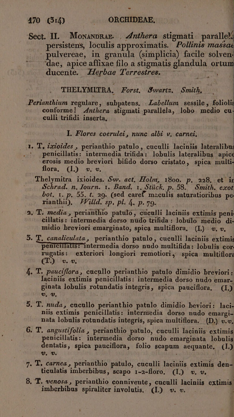 ; ] 470 (Qu .. ORCHIDEAE, | Sect. IL. Monawpnar. . Znthera sügmati paralle/i persistens, loculis approximatis. Pollinis massae ulvereae, in granula (simplicia) facile solven- dae, apice affixae filo a stigmatis glandula ortum ducente. JZerbae Terrestres. ! ^ THELYMLTRA, Forst, Swartz. Smith, Perianthium regulare, subpatens. . Labellum sessile, folioli conforme! Znthera stigmati parallela, lobo. medio cu culli trifidi inserta, I. Flores coerulei , nunc albi v, carnei, 1, T, ixioides , perianthio patulo, cuculli laciniis lateralibu .'. penicillatis: intermedia trifida: lobulis lateralibus apic erosis medio breviori bifido dorso cristato, spica multi flora. (1. v. v. Thelymitra ixioides. '$)w. act. Holm, 1800. p. 228. et ir ISchrad. n. Journ. x. Band. 1. Stück. p. 58... Smith. exot bot, 1. p. 55. t. 29. (sed caret maculis saturatioribus pe. rianthii), 77d. sp. pl. 4. p. 79. P 2. T. media , perianthio patulo, cuculli laciniis extimis peni: cillatis: intermedia dorso nudo trifida: lobulo rnedio di- midio breviori emarginato, spica multiflora, (L) v. «. 5. T. canaliculata, perianthio patulo, cuculli laciniis extimi: penicillats? intermedia dorso nudo multifida: lobulis cor: rugatis: exteriori longiori remotiori, spica multiflora (I. «v. ^. 4. T. pauciflora, cucullo perianthio patulo dimidio breviori: laciniis extimis penicillatis: intermedia dorso nudo emar- ginata lobulis rotundatis integris, spica pauciflora, (1.) v. *, 5. T. nuda, cucullo perianthio patulo dimidio beviori: laci- niis extimis penicillatis: intermriedia dorso nudo emargi- nata lobulis rotundatis integris, spica multiflora. (D.) v.v. .6. T. angustifolia , perianthio patulo, cuculli laciniis extimis penicillatis: intermedia dorso nudo emarginata lobulis dentatis, spica pauciflora, folio scapum aequante, (I) v. v. TM 7. T. carnea, perianthio patulo, cuculli laciniis extimis den- ticulatis imberbibus, scapo 1-2-floro, (L.) v. ». 8. T. venosa , perianthio connivente, cuculli laciniis extimis imberbibus spiraliter involutis,. (L) ». «. [ E