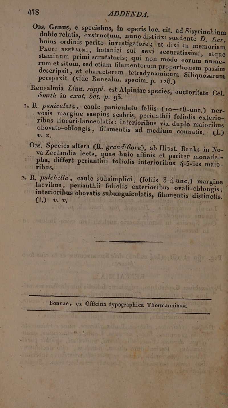 e 4a8 ADDENDA, MN WR S Oss. Genus, e speciebus, in operis loc. cit, ad Sisyrinchium dubie relatis, exstructum, nunc distitixi suadente D, Ker, huius ordinis perito investigatore ; et dixi in memoriam Pavurr neNEALMI, botanici sui aevi accuratissimi, atque Staminum primi scrutatoris; qui non modo eorum nume- rum et situm, sed etiam filamentorum proportionem passim descripsit , et characterem tetradynamicum Siliquosarum perspexit. (vide Renealm. specim; p. 128.) - : Renealmia Zinn. suppl. est Alpiniae species, auctoritate Cell iISmith in exot, bot. p9390NE A 4 4 1, R. paniculata, . caule paniculato. foliis. (10—18-unc.) ner- vosis margine saepius scabris, perianthii foliolis exterio- ribus lineari-lanceolatis: interioribus vix duplo maioribus obovato-oblongis, filamentis ad medium connatis, (L). v. v. Oss. Species altera (R. grandiflora), ab Illust. Banks in No- va Zeelandia lecta, quae huic affinis et pariter monadel- * ^ pha, differt perianthii foliolis interioribus 4-5-ies maio- ribus, | Ra ud 2. R. pulchella', caule subsimplici, (foliis 5-/4-unc.) margine : laevibus, perianthii foliolis exterioribus ovali-oblongis; interioribus obovatis subunguiculatis, filamentis distinctis, (Ll) v.v, j ; ——À ^ . ; . P | Bonnae, ex Officina typographica Thormanniana.