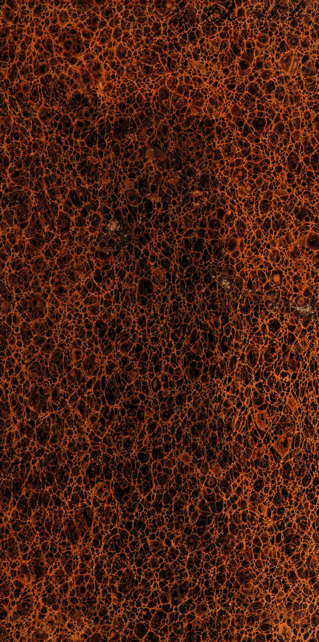 digitised image 1