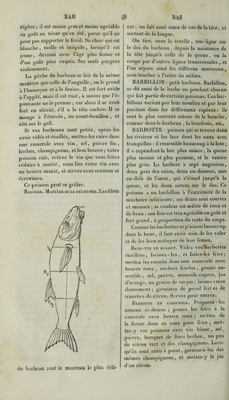 espèce ; il est moins gras et moins agréable au goût en hiver qu’en été, parce qu’il ne peut pas supporter le froid. Sa chair qui est blanche , molle et insipide, lorsqu’il est jeune, devient avec l’âge plus ferme et d’un goût plus exquis. Ses oeufs purgent violemment. La pêche du barbeau se fait de la même «laitière que celle de l’anguille ; on le prend à l’hameçon et â la fouine. Il est fort avide à l’appât, mais il est rusé, à moins que l’é- pouvante ne le prenne ; car alors il se croit fort en sûreté, s’il a la tête cachée. Il se mange à Pétuvée , au court-bouillon , et rôti sur le gril. Si vos barbeaux sont petits, après les avoir vidés et écaillés, mettez-les cuire dans une casserole avec vin, sel, poivre fin , herbes, champignons, et bon beurre ; votre poisson cuit, retirez le vin que vous faites réduire à moitié, vous liez votre vin avec un beurre manié, et servez avec croûton et écrevisses. Ce poisson peut se griller. Barbeau. Manière de le découper. Les filets du barbeau sont le morceau le plus déli- cat ; on fait aussi assez de cas de la tète, et surtout de la langue. On tire, avec la truelle, une ligne sur le dos du barbeau, depuis la naissance de la tête jusqu’à celle de la queue, on la coupe par d’autres lignes transversales , et l’on sépare ainsi les difïerens morceaux, sans toucher à l’arête du milieu. BARBILLON : petit barbeau. Barbillon, se dit aussi de la barbe ou pendant charnu qui fait partie de certains poissons. Ces bar- billons varient par leur nombre et par leur position dans les différentes espèces : ils sont le plus souvent autour de la bouche, comme dans le barbeau , la baudroie, etc. BARBOTTE : poisson qui se trouve dans les rivières et les lacs dont les eaux sont tranquilles : il ressemble beaucoup à la lote ; il a cependant le bec plus mince, la queue plus menue et plus pointue, et le ventre plus gros. La barbote à sept nageoires, deux près des ouïes, deux au-dessous, une au-delà de l’anus, qui s’étend jusqu’à la queue, et les deux autres sur le dos. Ce poisson a un barbillon à l’extrémité de la mâchoire inférieure; ses dents sont courtes et menues ; sa couleur est mêlée de roux et de brun ; son foie est très agréable au goût et fort grand , à proportion du reste du corps. Comme les barbottes se plaisent beaucoup dans la boue, il faut avoir soin de les vider et de les bien nettoyer de leur limon. Barbutte en ragoût. Videz vos barbottes écaillées; farinez-les, et faites-les frire; mettez-les ensuite dans une casserole avec beurre roux , anchois fendus , passés en- semble , sel, poivre, muscade,câpres, jus d’orange, ou grains de verjus: laissez cuire doucement ; garnissez de persil frit et de tranches de citron. Servez pour entrée. Barbotte en casserole. . Préparez - les comme ci-dessus ; passez les loies à la casserole avec beurre roux ; mettez de la farine dans ce roux pour frire ; met- tez-y vos poissons avec vin blanc , sel, poivre, bouquet de fines herbes , un peu de citron vert et des champignons. Lors- qu’ils sont cuits à point, garnissez-les des mêmes champignons, et mettez-y le jus d’un citron.