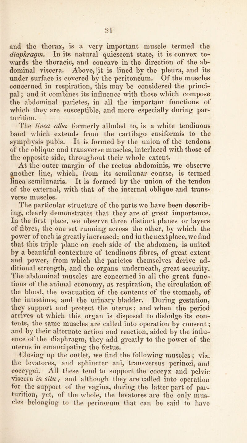 and the thorax, is a very important muscle termed the diaphragm. In its natural quiescent state, it is convex to- wards the thoracic, and concave in the direction of the ab- dominal viscera. Above, [it is lined by the pleura, and its under surface is covered by the peritoneum. Of the muscles concerned in respiration, this may be considered the princi- pal ; and it combines its influence with those which compose the abdominal parietes, in all the important functions of which they are susceptible, and more especially during par- turition. The linea alba formerly alluded to, is a white tendinous band which extends from the cartilago ensiformis to the symphysis pubis. It is formed by the union of the tendons of the oblique and transverse muscles, interlaced with those of the opposite side, throughout their whole extent. At the outer margin of the rectus abdominis, we observe another line, which, from its semilunar course, is termed linea semilunaris. It is formed by the union of the tendon of the external, with that of the internal oblique and trans- verse muscles. The particular structure of the parts we have been describ- ing, clearly demonstrates that they are of great importance. In the first place, we observe three distinct planes or layers of fibres, the one set running across the other, by which the power of each is greatly increased; and inthenextplace, wefind that this triple plane on each side of the abdomen, is united by a beautiful contexture of tendinous fibres, of great extent and power, from which the parietes themselves derive ad- ditional strength, and the organs underneath, great security. The abdominal muscles are concerned in all the great func- tions of the animal economy, as respiration, the circulation of the blood, the evacuation of the contents of the stomach, of the intestines, and the urinary bladder. During gestation, they support and protect the uterus; and when the period arrives at which this organ is disposed to dislodge its con- tents, the same muscles are called into operation by consent; and by their alternate action and reaction, aided by the influ- ence of the diaphragm, they add greatly to the power of the uterus in emancipating the foetus. Closing up the outlet, we find the following muscles; viz. the levatores, and sphincter ani, transversus perinoei, and coccygei. All these tend to support the coccyx and pelvic viscera in situ; and although they are called into operation for the support of the vagina, during the latter part of par- turition, yet, of the whole, the levatores are the only mus- cles belonging to the perinooiim that can be said to have