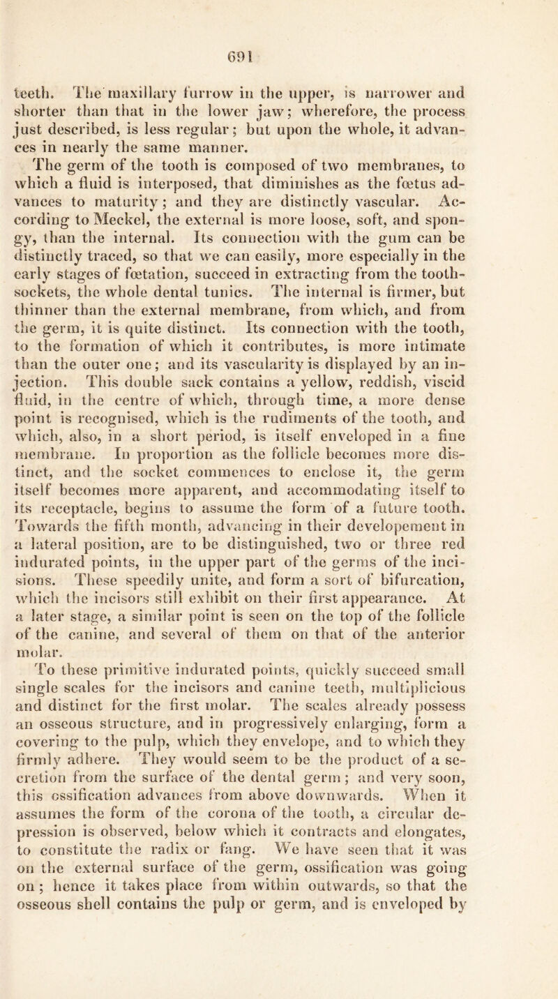 teeth. The tiiHxillary furrow in the upper, is narrower and shorter than that in the lower jaw; wherefore, the process just described, is less regular; but upon the whole, it advan- ces in nearly the same manner. The germ of the tooth is composed of two membranes, to which a fluid is interposed, that diminishes as the foitus ad- vances to maturity; and they are distinctly vascular. Ac- cording to Meckel, the external is more loose, soft, and spon- gy, than the internal. Its connection with the gum can be distinctly traced, so that we can easily, more especially in the early stages of fcetation, succeed in extracting from the tooth- sockets, the whole dental tunics. The internal is firmer, but thinner than the external membrane, from which, and from the germ, it is quite distinct. Its connection with the tooth, to the formation of which it contributes, is more intimate than the outer one; and its vascularity is displayed by an in- jection. This double sack contains a yellow, reddish, viscid fluid, in the centre of which, through time, a more dense point is recognised, which is the rudiments of the tooth, and which, also, in a short period, is itself enveloped in a fine membrane. In proportion as the follicle becomes more dis- tinct, and the socket commences to enclose it, tlie germ itself becomes more apparent, and accommodating itself to its receptacle, begins to assume the form of a future tooth. Towards the fifth month, advancing in their developeraent in a lateral position, are to be distinguished, two or three red indurated points, in the upper part of the germs of the inci- sions. These speedily unite, and form a sort of bifurcation, which the incisors still exhibit on their first appearance. At a later stage, a similar point is seen on the top of the follicle of the canine, and several of them on that of the anterior molar. To th ese pritnitive indurated points, quickly succeed small single scales for the incisors and canine teeth, rnultiplicious and distinct for the first molar. The scales already possess an osseous structure, and in progressively enlarging, form a covering to the pulp, which they envelope, and to which they firmly adhere. They would seem to be the product of a se- cretion from the surface of the dental germ ; and very soon, this ossification advances from above downwards. When it assumes the form of the corona of the tooth, a circular de- pression is observed, below which it contracts and elongates, to constitute the radix or fang. We have seen that it was on the external surface of the germ, ossification was going on ; hence it takes place from within outwards, so that the osseous shell contains tlic pulp or germ, and is enveloped by