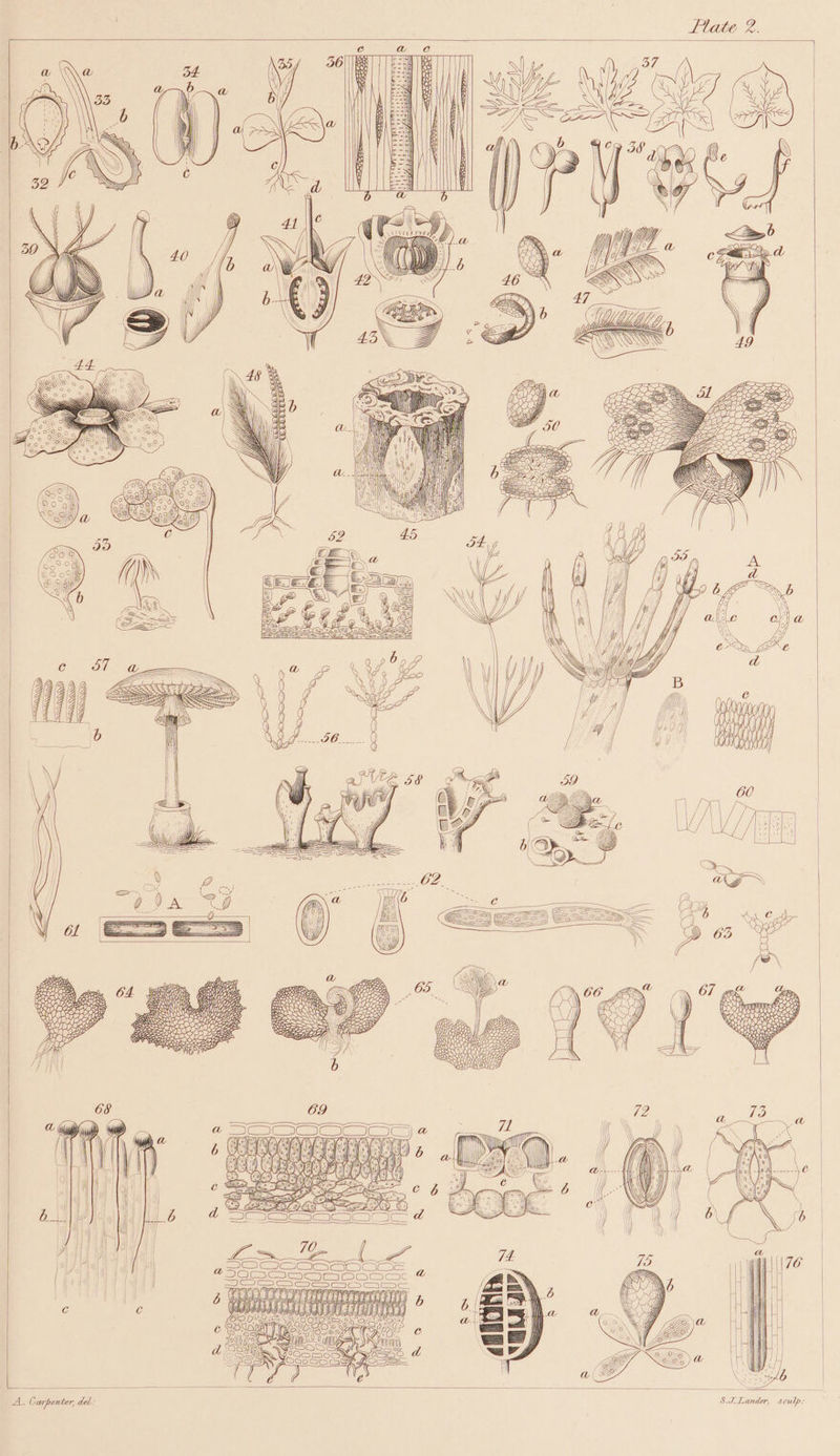 Se = = — = 70 Dewees) ja a 8