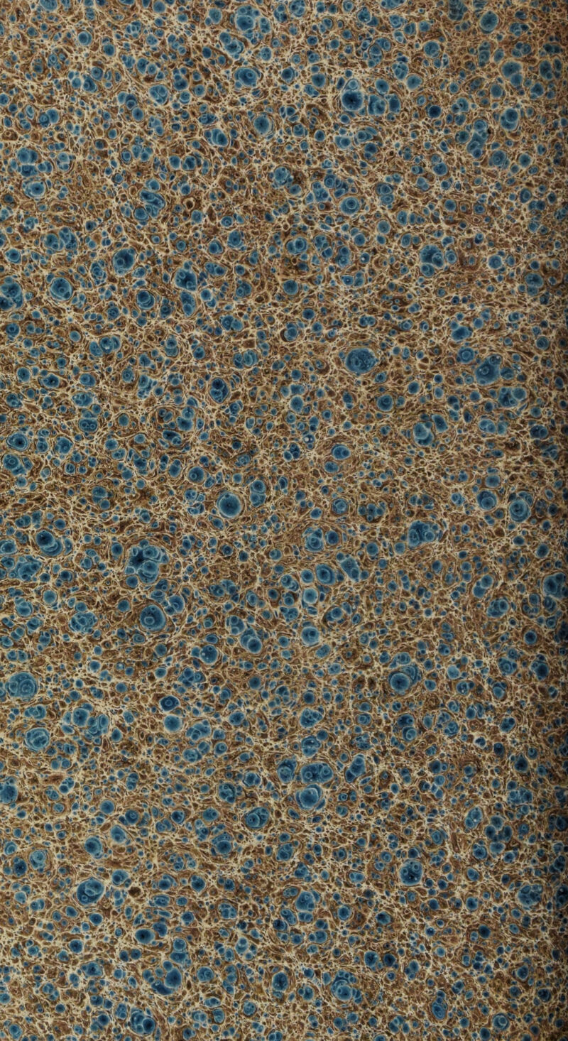 s*. afeS&:;<2 ®e«sfæ®2MSs ËS?sS&*$ SpwWMBça Jww! ^üll &a»e lî# IMS M M •mmM.