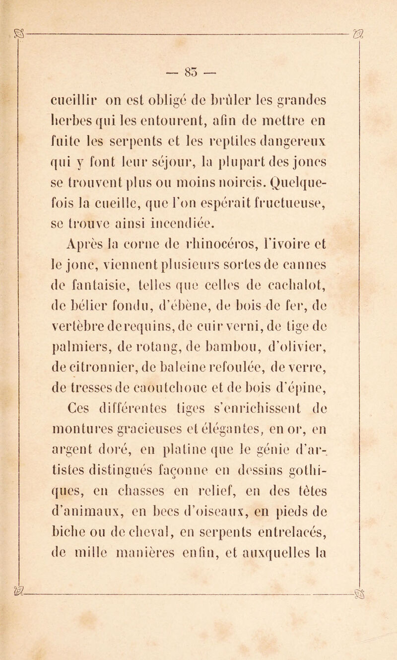 — 85 — cueillir on est obligé de brûler les grandes herbes qui les entourent, afin de mettre en fuite les serpents et les reptiles dangereux qui y font leur séjour, la plupart des joncs se trouvent plus ou moins noircis. Quelque- fois la cueille, que l'on espérait fructueuse, se trouve ainsi incendiée. Ap rés la corne de rhinocéros, l’ivoire et le jonc, viennent plusieurs sortes de cannes de fantaisie, telles que celles de cachalot, de bélier fondu, d’ébène, de bois-de fer, de vertèbre derequins, de cuir verni, de tige de palmiers, de rotang, de bambou, d’olivier, de citronnier, de baleine refoulée, de verre, de tresses de caoutchouc et de bois d’épine, Ces différentes tiges s’enrichissent de montures gracieuses et élégantes, en or, en argent doré, en platine que le génie d’ar- tistes distingués façonne en dessins gothi- ques, en chasses en relief, en des tètes d’animaux, en becs d’oiseaux, en pieds de biche ou de cheval, en serpents entrelacés, de mille manières enfin, et auxquelles la