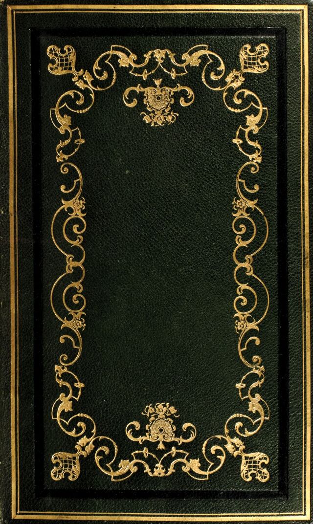 No text description is available for this image