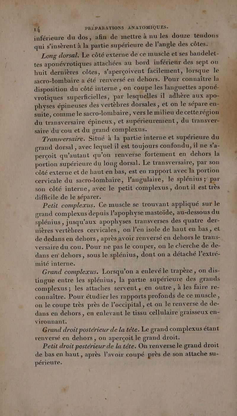 ue F4 PRÉPARATIONS ANATOMIQUES: inférieure du dos, afin de mettre à nu les douze tendons qui s’insèrent à la partie supérieure de l’angle des côtes. : Long dorsal. Le côté externe de ce muscle et ses bandelet- tes aponévrotiques attachées au bord inférieur des sept ou huit dernières côtes, s’aperçoivent facilement, lorsque le sacro-lombaire a été renversé en dehors. Pour connaître la disposition du côté interne ; on coupe les languettes aponé- vrotiques superficielles, par lesquelles il adhère aux apo- physes épineuses des vertèbres dorsales , et on le sépare en- suite, comme le sacro-lombaire, vers le milieu de cetterégion du transversaire épineux, et supérieurement, du transver- fé saire du cou et du grand complexus. L. Transversaire. Situé à la partie interne et supérieure du grand dorsal , avec lequel il est toujours confondu, il ne s’a- perçoit qu’autant qu'on renverse fortement en dehors la portion supérieure du long dorsal. Le transversaire, par son côté externe et de haut en bas, est en rapport avec la portion cervicale du sacro-lombaire, l’angulaire, le splénius ÿ par son côté interne, avec le petit complexus, dont il est très difficile de le séparer. Petit complexus. Ce muscle se trouvant appliqué sur le grand complexus depuis l’apophyse mastoïde, au-dessous du splénius , jusqu'aux apophyses transverses des quatre der- nières vertèbres cervicales, on l’en isole de haut en bas, et de dedans en dehors, après avoir renversé en dehors le trans- versaire du cou. Pour ne pas le couper, on le cherche de de- dans en dehors, sous le splénius, dont on a détaché l’extré- mité interne. | Grand complexæus. Lorsqu’on a enlevé le trapèze, on dis- tingue entre les splénius, la partie supérieure des grands complexus ; les attaches servent, en outre, à les faire re- connaître. Pour étudier les rapports profonds de ce muscle, on le coupe très près de l’occipital, et on le renverse de de- dans en dehors , en enlevant le tissu cellulaire graisseux en- vironnant. Grand droit postérieur de la tête. Le grand complexus étant renversé en dehors, on aperçoit le grand droit. Petit droit postérieur de la téte. On renverse le grand droit de bas en haut, après l’avoir coupé près de son attache su- périeute.