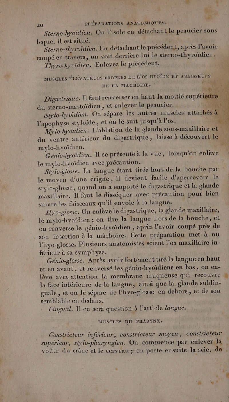 A .. 1 20 PRÉPARATIONS ANATOMIQUES: Sterno-hyoïidien. On l’isole en détachant le peaucier sous lequel il est situé. as | Sterno-thyroïidien. En détachant le précédent, après l’avoir coupé en travers, on voit derrière lui le sterno-thyroïdien. T'hyro-hyoïdien. Enlevez le précédent. MUSCLES ÉLÉVATEURS PROPRES DE 1/05 HYOÏDE ET ABAISSEURS DE LA MACHOIRE. + | el 6 Digastrique. [1 faut renverser en haut la moitié supérieure du sterno-mastoïdien , et enlever le peaucier. Mylo-hyoidien. L’ablation de la glande sous-maxillaire et ; du ventre antérieur du digastrique , laisse à découvert le mylo-hyoïdien. Génio-hyoïdien. M se présente à la vue, lorsqu’on enlève le mylo-hyoïdien avec précaution. Stylo-glosse. La langue étant tirée hors de la bouche par le moyen d’une érigre, il devient facile d’apercevoir le stylo-glosse, quand on a emporté le digastrique et la glande maxillaire. Il faut le disséquer avec précaution pour bien suivre les faisceaux qu’il envoie à la langue. Hyo-glosse. On enlève le digastrique, la glande maxillaire, le mylo-hyoïdien ; on tire la langue hors de la bouche, et on renverse le génio-hyoïdien , après lavoir coupé près de son insertion à la mâchoire. Cette préparation met à nu l’hyo-glosse. Plusieurs anatomistes scient l’os maxillaire in- férieur à sa symphyse. Génio-glosse. Après avoir fortement tiré la langue en haut et en avant , et renversé les génio-hyoïdiens en bas, on en- lève avec attention la membrane muquéuse qui recouvre # la face inférieure de la langue, ainsi que la glande sublin- guale , et on le sépare de l’hyo-glosse en dehors , et de son semblable en dedans. Lingual. X en sera question à l’article fanguc. MUSCLES DU PHARYNX. Constricteur inférieur, constricieur moÿek , constricteur supérieur, stylo-pharyngien. On commence par enlever. la voûte du crâne et le cerveau on porte ensuite la scie, de .