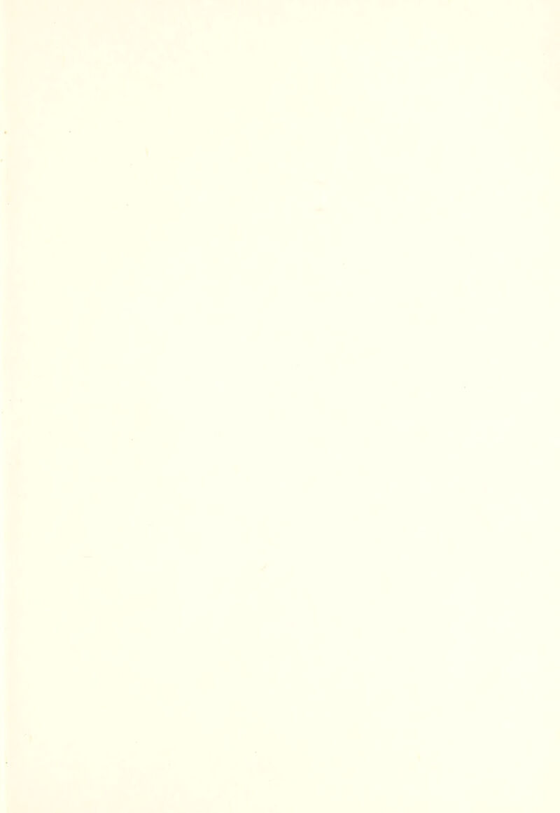 l i * • ^ # I 'i i-: