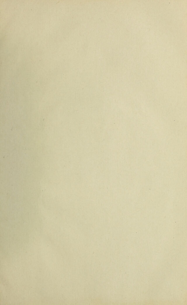 digitised image 3