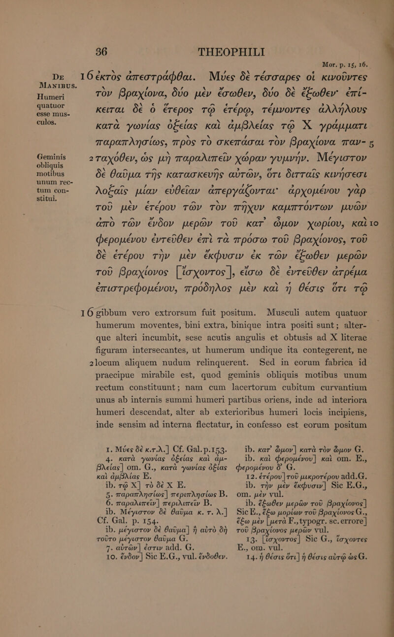 Humeri quatuor esse mus- culos. Geminis obliquis motibus unum rec- tum con- stitul. alter- Sed in eorum fabrica id I. Μύες δὲ κ.τ.λ.] Cf. Gal. p.153- 4. Karà γωνίας ὀξείας καὶ dji- βλείαε] om. G., κατὰ γωνίας ὀξίας καὶ ἀμβλίας E. ib. τῷ X] τὸ δὲ X E. 5. παραπλησίως] MEE Lr B. ib. Μέγιστον δὲ θαῦμα κ. τ. λ.] Cf. Gal. p. 154. ib. μέγιστον δὲ θαῦμα] ἢ αὐτὸ δὴ τοῦτο μέγιστον θαῦμα G. . αὐτῶν ] ἐστιν add. G. ΤΟ. ἔνδον ] Sic E.G., vul. ἔνδοθεν. ib. Kar ὦμον | κατὰ τὸν ὦμον G. ib. καὶ φερομένου ] καὶ om. E., φερομένου 0. G. 12. ἑτέρου] τοῦ μικροτέρου add.G. ib. τὴν μὲν ἔκφυσιν] Sic E.G., om. μὲν vul. Sic E., ἔξω μορίων τοῦ Bpaxtovos G., ἔξω μὲν | μετὰ F., typogr. sc. errore] τοῦ βραχίονος μερῶν vul. 13. [texovros] Sic G., ἴσχοντες ., om. vul. 14. ἡ θέσις ὅτι] ἡ θέσις αὐτῷ ὡς G. — ——Á p c Less dt c