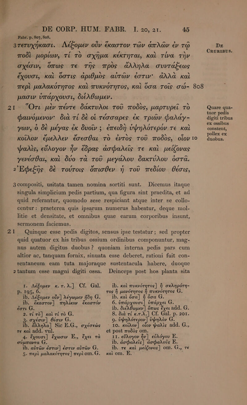 Fabr. p. 80}, 808. ’ Ας d σ [r4 ^ e ^ 9 ^ βτετυχήκασι. Λέξομεν οὖν ἕκαστον τῶν ἁπλῶν ἐν τῷ Dr ` / ο AN ^ / ` / x CRURIBUS. ποδὶ. μορίων, τί TO σχῆμα κέκτηται, καὶ τίνα τὴν / , [74 ^ Ν 3 ’ σχέσιν, ὅπως τε τῆς πρὸς ἄλληλα συντάξεως 3/ τν ου 5 x $i 5 , 3 N ~ ἔχουσι, καὶ στις ἀριθμὸς αὐτῶν ἐστιν ἄλλα καὶ , 7 y ^ £ περὶ µαλακοτητος καὶ πυκνότητος, καὶ ὅσα τοῖς σώ- 808 € Z A7 μασιν ὑπάρχουσι, διέλθωμεν. σ . / d ^ A ^ A 21 Ὅτι μὲν πέντε δάκτυλοι τοῦ ποδος, μαρτυρεῖ TO Quare qua- , NIS NEU CECI e , ^ , tuor pedis φαινομενον᾽ διὰ τί δὲ οἱ τέσσαρες ἐκ τριῶν φαλάγ- digiti tribus A ` ,  E ; ui. ν E ; K ex ossibus yov, ὁ δε μέγας ἐκ δυοῖν ; ἐπειδὴ ὑψηλότερον τε καὶ constent, ^ » 3/ ν 9 Ν - N e pollex ex κοῖλον ἔμελλεν ἔσεσθαι TO ἐντὸς τοῦ ποδός, OiOV1O duobus. ψαλὶς, εὔλογον ἦν έδρας ἀσφαλεῖς τε καὶ μείζονας L4 ~ Z Ν ^ /, / , ^ γενέσθαι, καὶ δύο τὰ τοῦ μεγάλου δακτύλου ὁστᾶ. ^ N 3/ ^ / 2 Epes δὲ τούτοις ὄπισθεν ἡ τοῦ πεδίου θέσις, 3compositi, usitata tamen nomina sortiti sunt. Dicemus itaque singula simplicium pedis partium, qua figura sint praedita, et ad quid referantur, quomodo sese respiciant atque inter se collo- centur: praeterea quis ipsarum numerus habeatur, deque mol- litie et densitate, et omnibus quae earum corporibus insunt, sermonem faciemus. | 21 Quinque esse pedis digitos, sensus ipse testatur; sed propter quid quatuor ex his tribus ossium ordinibus componuntur, mag- nus autem digitus duobus? quoniam interna pedis pars cum altior ac, tanquam fornix, sinuata esse deberet, rationi fuit con- sentaneum eam tuta majoraque sustentacula habere, duoque 2tantum esse magni digiti ossa. Deinceps post hos planta sita I. Λέξομεν κ.τ.λ.] Cf. Gal. ib. kai πυκνότητος] ἢ σκληρότη- p. 105, 6. τος ἢ μανότητος ἢ πυκνότητος G. ib. Λέξομεν οὖν | λέγωμεν ἤδη G. ib. καὶ ὅσα] ἢ ὅσα G ib. ἕκαστον] πηλίκον ἕκαστόν 6. ὑπάρχουσι] ὑπάρχει G. ἐστι G. ib. διέλθωμεν | ὅπως ἔχει add. Ω. 2. τί τὸ] καὶ τί τὸ G. 8. διὰ τί κ.τ.λ.] Cf. Gal. p. 201. 3. σχέσιν] θέσιν Ω. 9. ὑψηλότερον] ὑψηλὸν G. ib. ἄλληλα] Sic E.G., σχέσεώς ` 1o. vont οἷον ψαλὶς add. G., τε καὶ add. vul. et post ποδὸς om. 4. ἔχουσι] ἔχωσιν E., ἔχει τὰ 11. εὔλογον ἦν] εὐλόγου E. σύμπαντα G. | ib. ἀσφαλεῖς] ἀσφαλοῦς E. Ib. αὐτῶν ἐστιν] ἐστιν αὐτῶν G. ib. re καὶ μείζονας] om. G., τε 5. περὶ µαλακότητος] περὶ om. G. καὶ om. E.