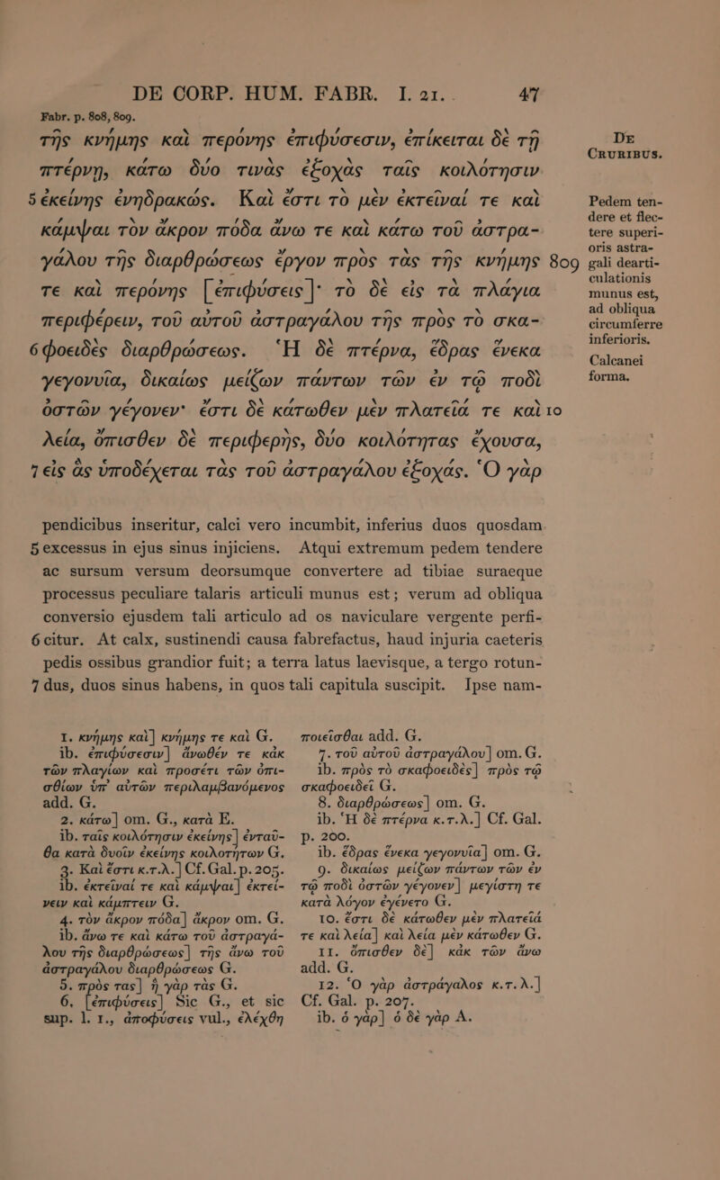 Har 4T 3 / , /, 5 ἐκείνης ἐνηδρακώς. όφοειδὲς διαρθρώσεως. 5 excessus in ejus sinus injiciens. verum ad obliqua I. κνήμης καὶ] κνήμης τε καὶ G. ib. ἐπιφύσεσιν | ἄνωθέν τε κἀκ τῶν πλαγίων καὶ προσέτι τῶν ὀπι- σθίων ὑπ᾽ αὐτῶν περιλαμβανόμενος add. G. 2. κάτω] om. Eo kara E. ib. ταῖς κοιλότησιν ἐκείνης] ἐνταῦ- θα κατὰ δυοῖν ἐκείνης κοιλοτήτων G. 3. Καὶ ἔστι κ.τ.λ. ] Cf. Gal. p. 205. ib. ἐκτεῖναί τε καὶ κάµψαι] ἐκτεί- νειν καὶ κάμπτειν G. 4. τὸν ἄκρον πόδα] à ἄκρον om. G. ib. ἄνω τε καὶ κάτω τοῦ ἀστραγά- λου τῆς διαρθρώσεως] τῆς ἄνω τοῦ ἀστραγάλου διαρθρώσεως G. 9. πρὸς ras] ἢ γὰρ τὰς G. 6. ἐπιφύσεις] Sie. Qs et. sic sup. l. 1., ἀποφύσεις aur . ἐλέχθη Ipse nam- ποιεῖσθαι add. G. 7. τοῦ αὐτοῦ ἀστραγάλου] om. G. ib. πρὸς τὸ σκαφοειδὲς] πρὸς τῷ σκαφοειδεῖ G. 8. διαρθρώσεως] om. (1. ib. Ἡ δὲ πτέρνα κ.τ.λ.] Cf. Gal. p. 200. ib. ἔδρας ἕνεκα γεγονυῖα | om. G. 9. δικαίως μείζων πάντων τῶν ἐν τῷ ποδὶ ὁ ὀστῶν γέγονεν ] μεγίστη τε κατὰ λόγον ἐγένετο IO. ἔστι δὲ κάτωθεν μὲν πλατεῖά τε καὶ λεία] καὶ λεία μὲν κάτωθεν G. II. ὄπισθεν δὲ] κάκ τῶν ἄνω add. G. I2. Ὁ yàp ἀστράγαλος κ.τ.λ.] Cf. Gal. p. 207. ib. ὁ γὰρ] ὁ δὲ yàp A. δοο DE CRURIBUS. Pedem ten- dere et flec- tere superi- oris astra- gali dearti- culationis munus est, ad obliqua circumferre inferioris. Calcanei forma.