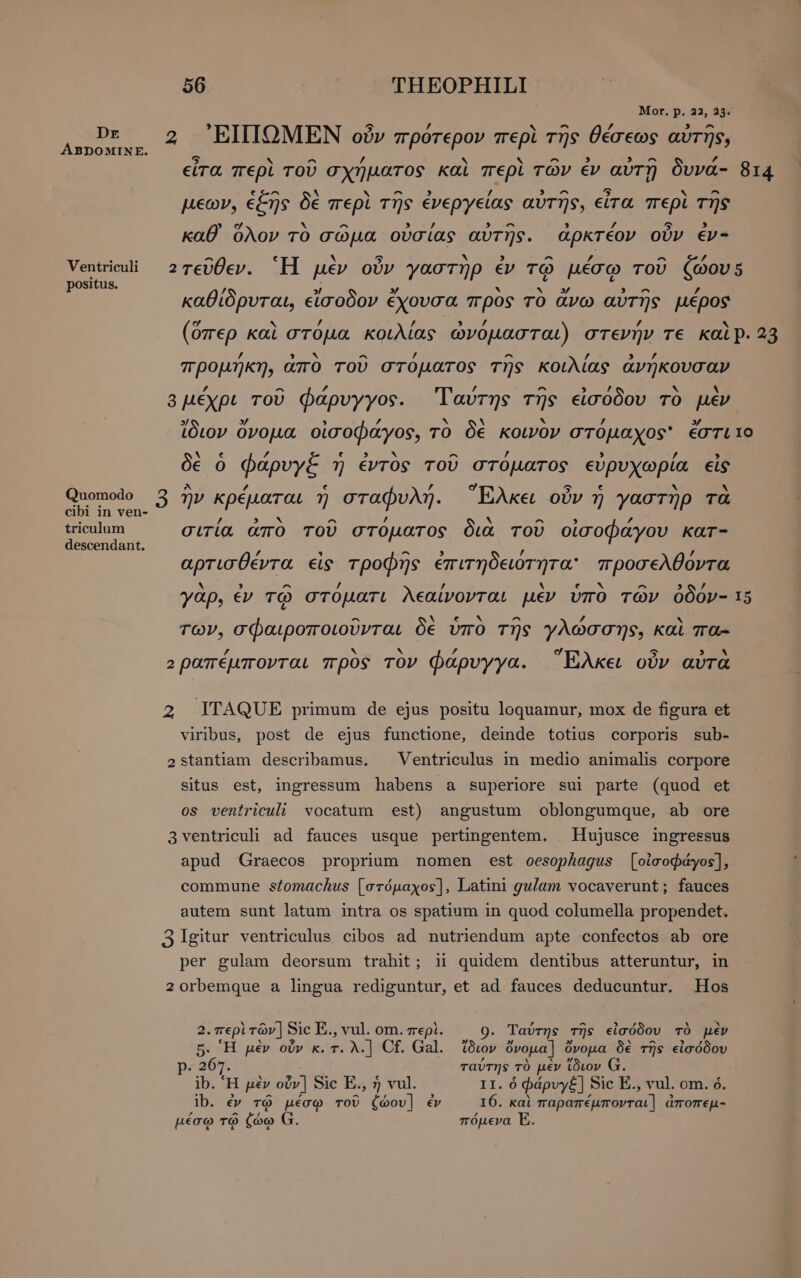 Dr ABDOMINE. Ventriculi positus. Quomodo cibi in ven- triculum descendant. 56 THEOPHILI Mor. p, 22, ME 2 'EIIIQMEN οὖν το non τῆς θέσεως αὐτῆς, εἶτα περὶ τοῦ OTOS καὶ gn τῶν ἐν αὐτῇ δυνά- 814 peov, ἑξῆς δὲ περὶ τῆς ἐνεργείας αὐτῆς, εἶτα περὶ τῆς € ^ ^ / 5 3 καθ ὅλον τὸ σῶμα οὐσίας αὐτῆς. ἀρκτέον οὖν év- 2τεῦθεν. ‘H μὲν οὖν γαστὴρ ἐν τῷ μέσ Ü ζώο τευσεν. μεν ουν γαστηρ D µεσῳ TOU νο 3/ zy ον NS 0» αν LZ καθίδρυται, εἴσοδον ἔχουσα προς τὸ ἄνω αὐτῆς μέρος [74 ’ £ / / (ὅπερ καὶ στόμα κοιλίας ὠνόμασται) στενήν τε καὶ Ρ. 23 /, NN ^ , ^ / ’ προμήκη, «mro τοῦ στοµατος τῆς κοιλίας ἀνήκουσαν ΄ ^ ΄ / ^ 5 , ` . 8 μέχρι τοῦ φάρυγγος. Tavrys τῆς εἰσοδου TO μεν » zy , 7 ν ν ν / zy ἴδιον ὄνομα οἰσοφάγος, τὸ δε κοινον στὀοµαχος' ἔστι το . € ΄ e 3 hy ^ ’ , ’ 9 δὲ ὁ φάρυγξ ἡ ἐντὸς τοῦ στόματος εὐρυχωρία εἰς ’ 3 x ^ ’ v ^ 9 V4 σιτία ἄπο τοῦ στοµατος διὰ τοῦ οἰσοφάγου kar- / ` ^ 3 / / αρτισθέντα εἰς τροφῆς ἐπιτηδειότητα’ προσελθόντα AY ^ / y . ε by ^ ’ γαρ, ἐν τῷ στόματι λεαίνονται μὲν ὑπο τῶν ὀδόν- 15 ^ . xv ^ r4 των, σφαιροποιοῦνται δε ὗπο τῆς γλῶσσης, καὶ πα- L ` ν  ο 5 3» 2ραπέµπονται προς TOv φάρυγγα. | EAket οὖν αὐτὰ 2 ITAQUE primum de ejus positu loquamur, mox de figura et viribus, post de ejus functione, deinde totius corporis sub- 2stantiam describamus. Ventriculus in medio animalis corpore situs est, ingressum habens a superiore sui parte (quod et os ventriculi vocatum est) angustum oblongumque, ab ore 3 ventriculi ad fauces usque pertingentem. | Hujusce ingressus apud Graecos proprium nomen est oesophagus [οἰσοφάγος], commune stomachus [στόμαχος], Latini gulam vocaverunt; fauces autem sunt latum intra os spatium in quod columella propendet. 3 Igitur ventriculus. cibos ad nutriendum apte confectos ab ore per gulam deorsum trahit; ii quidem dentibus atteruntur, in 20rbemque a lingua rediguntur, et ad fauces deducuntur. Hos 2. περὶ τῶν ] Sic E., vul. om. περὶ. 9. Ταύτης τῆς εἰσόδου τὸ μὲν 5. Ἡ μὲν οὖν K. T. λ.] Cf. Gal. ἴδιον ὄνομα] ὄνομα δὲ τῆς εἰσόδου p. 267. ταύτης τὸ μὲν ἴδιον ib. Ἡ μὲν οὖν] Sic E., ἡ vul. II. ὁ φάρυγξ] Sic E., vul. om. ὁ ib. ἐν τῷ μέσῳ τοῦ ζώου] ἐν 16. καὶ παραπέμπονται] ἀποπεμ- μέσῳ τῷ (oo G. πόµενα E.