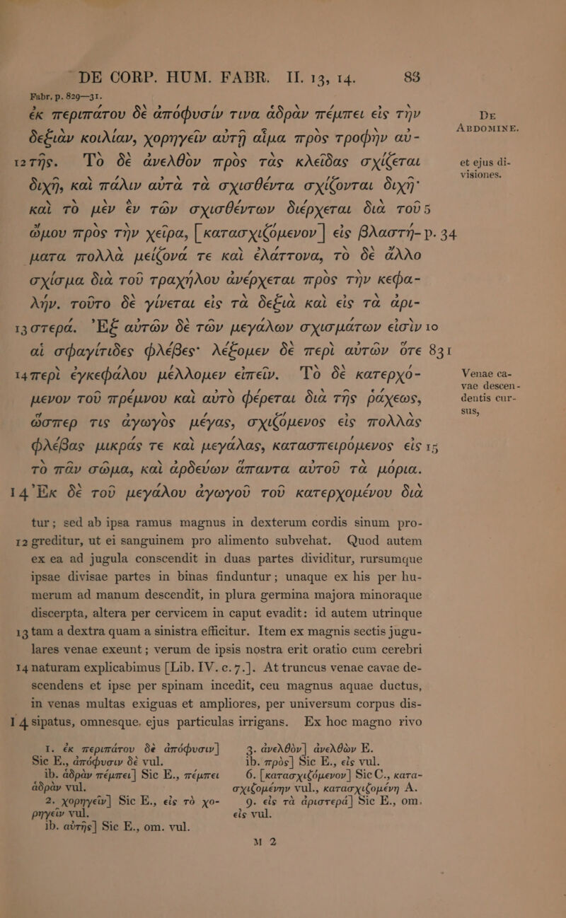 Fabr. p. 829—31. 3 p Na , / ε b. / , b ἐκ περιπάτου δὲ ἀποφυσίν τινα ἆδραν πέμπει εἰς τὴν `~ / ^ 5, ο τ v N , δεξιὰν κοιλίαν, χορηγεῖν αὐτῇ αἷμα πρὸς τροφην av- ^ X . Ἂ x « ^ y 127). To δὲ ἀνελθὸν πρὸς τὰς κλεῖδας σχίζεται ^ Ἂν ΄ 3 ` X A / ον. διχῆ, καὶ πάλιν αὐτὰ τὰ σχισθέντα σχίζονται διχῆ v X ` ON ^ / / N ^ καὶ TO µεν εν τῶν σχισθέντων διέρχεται δια τοῦ 5] Ν X ^ / 9 £ ώμου προς την χειρα, | κατασχιζόμενον | εἰς βλαστή- A ΄ N . para πολλὰ μείζνα τε καὶ ἐλάττονα, τὸ δὲ ἄλλο / . - [4 5 L4 Dy N σχίσμα διὰ τοῦ τραχήλου ἀνέρχεται πρὸς την κεφα- , ^ N / 3 b! x κ 5 λ 3 λήν. τοῦτο δὲ γίνεται εἰς τὰ δεξιὰ καὶ εἰς τὰ ἀρι- ’ 3 3 A kT ^ , ’ 3 « 1307epa. EE αὐτῶν δὲ τῶν μεγάλων σχισµάτων εἰσὶν # p N `“ 3,0 ον ej αἱ σφαγίτιδες φλέβες: λέξομεν δὲ περὶ αὐτῶν ὅτε / / ^ x N £ τι περὶ ἐγκεφάλου μέλλομεν εἰπεῖν. To δὲ κατερχὀ- ^ ’ N £ ` ^ e Pp μενον τοῦ πρέµνου καὶ αὐτὸ Φέρεται δια τῆς ῥάχεως, [4 5 N / 4 3 ` OTEP τις αγωγος µεγας, O χιζοµενος ει πολλας / , z ’ φλέβας μικρᾶς τε καὶ μεγάλας, κατασπειροµενος εἰς S; ^ ^ ’ ej ^ x , τὸ πᾶν σῶμα, καὶ ἀρδεύων ἅπαντα αὐτοῦ τὰ μόρια. E] x ^ z 3 ^ ^ ’ ν 14 Εκ δε του μεγαλου αγωγου TOU κατερχομενου διὰ tur; sed ab ipsa ramus magnus in dexterum cordis sinum pro- r2 greditur, ut ei sanguinem pro alimento subvehat. Quod autem ex ea ad jugula conscendit in duas partes dividitur, rursumque ipsae divisae partes in binas finduntur; unaque ex his per hu- merum ad manum descendit, in plura germina majora minoraque discerpta, altera per cervicem in caput evadit: id autem utrinque 13 tam a dextra quam a sinistra efficitur. Item ex magnis sectis jugu- lares venae exeunt; verum de ipsis nostra erit oratio cum cerebri 14 naturam explicabimus [Lib. IV. c.7.]. At truncus venae cavae de- scendens et ipse per spinam incedit, ceu magnus aquae ductus, in venas multas exiguas et ampliores, per universum corpus dis- I 4 sipatus, omnesque. ejus particulas irrigans. Ex hoc magno rivo I. ἐκ περιπάτου δὲ ἀπόφυσιν] 3. ἀνελθὸν] ἀνελθὼν E. Sic E., ἀπόφυσιν δὲ νι]. ib. πρὸς] Sic E., εἰς vul. ib. Špa» πέμπει] Sic E., πέμπει 6. Γκατασχιζόμενον ] Sic C., kara- ἁδρὰν vul. σχιζομένην vul., PEN OT NTA A. 2. χορηγεῖν] Sic E., εἰς τὸ xo- 9. εἰς τὰ ἀριστερά] Sic E., om. ρηγεῖν vul. eis vul. 10. αὐτῆς] Sic E., om. vul. M2 σι - DE ABDOMINE. et ejus di- visiones. Venae ca- vae descen- dentis cur- sus,