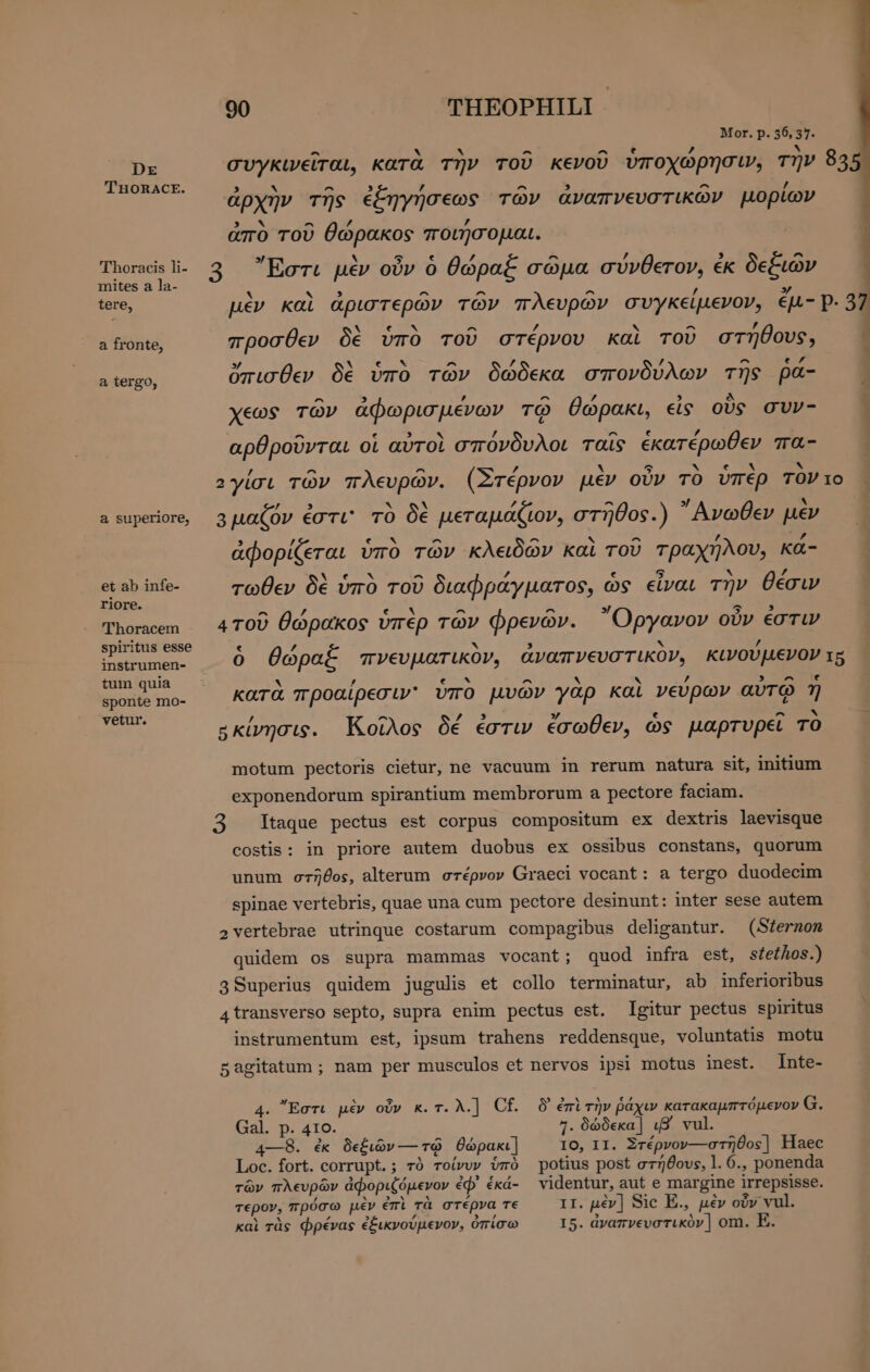 THORACE. Thoracis li- mites a la- tere, a fronte, a tergo, a superiore, et ab infe- riore. Thoracem spiritus esse instrumen- tum quia sponte mo- vetur. 90 THEOPHILI - Mor. p. 36,37. 3 x ^ 3 Z, ^ ^ / ἀρχὴν τῆς ἐξηγήσεως τῶν ἀναπνευστικῶν μορίων x ^ ΄ ’ ἀπὸ τοῦ θώρακος ποιήσομαι. » b 5 ^ ; ^ 3 Ἔστι μὲν οὖν ὁ θώραξ σῶμα σύνθετον, ἐκ d προσθεν δὲ ὑπὸ τοῦ στέρνου καὶ τοῦ στήθους, ὄπισθεν δὲ ὑπὸ τῶν δώδεκα σπονδύλων τῆς pa- χεως τῶν ἀφωρισμένων τῷ θώρακι, εἰς οὓς συν- ^ e , 9 , ^ e ld αρθροῦνται οἱ αυτοι σπόνδυλοι ταῖς ἑκατέρωθεν πα- αμαζον ἐστι' τὸ δὲ μεταμαζιον, στῆθος.) Ανωθεν μὲν 5 / εν - ^ ν ^ / A ἀφορίζεται ὑπὸ τῶν κλειδῶν καὶ τοῦ τραχήλου, ka- NY cv N ^ /, [4 5 * T d τωθεν δὲ ὑπὸ τοῦ διαφράγματος, ὡς εἶναι την θέσιν ^ Z3 er ^ ^ 5] 5 E ατοῦ θώρακος ὑπὲρ τῶν φρενῶν. Όργανον οὖν εστιν * ’ fus ^ * Z 3 ^ ε κατα προαιρεσ ιν υπο μυων γαρ καὶ νευρων αυτῳ 7) / A r4 3 » ε ^ * βκίνησις. Koios δέ ἐστιν ἐσωθεν, ὡς µαρτυρει TO motum pectoris cietur, ne vacuum in rerum natura sit, initium exponendorum spirantium membrorum a pectore faciam. 3 Itaque pectus est corpus compositum ex dextris laevisque costis: in priore autem duobus ex ossibus constans, quorum unum στῆθος, alterum στέρνον Graeci vocant: a tergo duodecim spinae vertebris, quae una cum pectore desinunt: inter sese autem (Sternon stethos.) 3Superius quidem jugulis et collo terminatur, ab inferioribus Igitur pectus spiritus ipsum trahens reddensque, voluntatis motu Inte- 2 vertebrae utrinque costarum compagibus deligantur. quidem os supra mammas vocant; quod infra est, 4transverso septo, supra enim pectus est. instrumentum est, 5agitatum ; nam per musculos et nervos ipsi motus inest. 4. Ἔστι μὲν οὖν κ.τ.λ.] Cf. δ' ἐπὶ τὴν ῥάχιν parari κ Gal. p. 410. 7. δώδεκα] ιβ vul. E ἐκ δεξιῶν — τῷ θώρακι] IO, II. Στέρνον---στῆθος | Haec Loc. fort. corrupt.; τὸ τοίνυν ὑπὸ potius post στήθους, l. 6., ponenda τῶν πλευρῶν ἀφοριζόμενον ἐφ᾽ ἑκά- videntur, aut e margine irrepsisse. καὶ τὰς φρένας ἐξικνούμενον, ὀπίσω i5. ἀναπνεματικὸν] om. E. 5