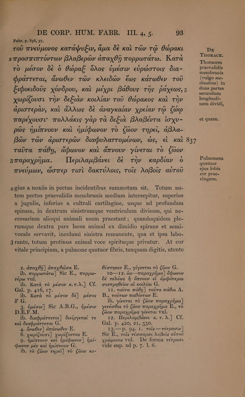 Totum au- quandoquidem ple- At cor 2. ἀπαχθῆ ] ἀπαχθεῖσα E. ib. πορρωτάτω] Sic E., πορρω- τέρω vul. ib. Κατὰ τὸ μέσον κ.τ.λ.] Cf. Gal. p. 416, 17. ib. Κατὰ τὸ μέσον δὲ] µέσος δ᾽ G. 3. ὑμέσιν] Sic A.D.G., ἡμέσιν D.E.F. M. ib. διαφράττεται] διείργεταί τε καὶ διαφράττεται 4. ἄνωθεν} ἀπάνωθεν E. 6. χωρίζουσι] χωρίζοντας E. Q. ἡμίπνουν καὶ ἡμίφωνον ] ἡμί- Φωνον μὲν καὶ ἡμίπνουν ib. τὸ ζῶον τηρεῖ] τὸ ζῶον κα- θέστηκεν E., γίγνεται τὸ ζῶον G. I0—I2. ὃς- παραχρῆμα] ἄφωνον δὲ τελέως ἢ ἄπνουν εἰ ἀμφότεραι συντρηθεῖεν αἱ κοιλίαι G. II. ταῦτα πάθη] ταῦτα πάθοι Δ. Bo τούτων παθόντων E. ib. γίνεται τὸ ζῶον παραχρῆμα] γενέσθαι τὸ ζῶον παραχρῆμα E., τὸ ζῶον παραχρῆμα γίνεται vul. I2. Περιλαμβάνει κ.τ.λ.) Cf. Gal. p. 420, 21, 550. I3.—p- 94. I. τοῖς — τέτρασι» | Sic E., τοῖς τέσσαρσι λοβοῖς αὐτοῦ χρώμενος vul. De forma τέτρασι vide sup. ad p. 7. 1. 6. DE THORACE. Thoracem praevalidis membranis (vulgo me- diastino) in duas partes secundum longitudi- nem dividi, et quare. Pulmonem quatuor ejus lobis cor prae- cingere.