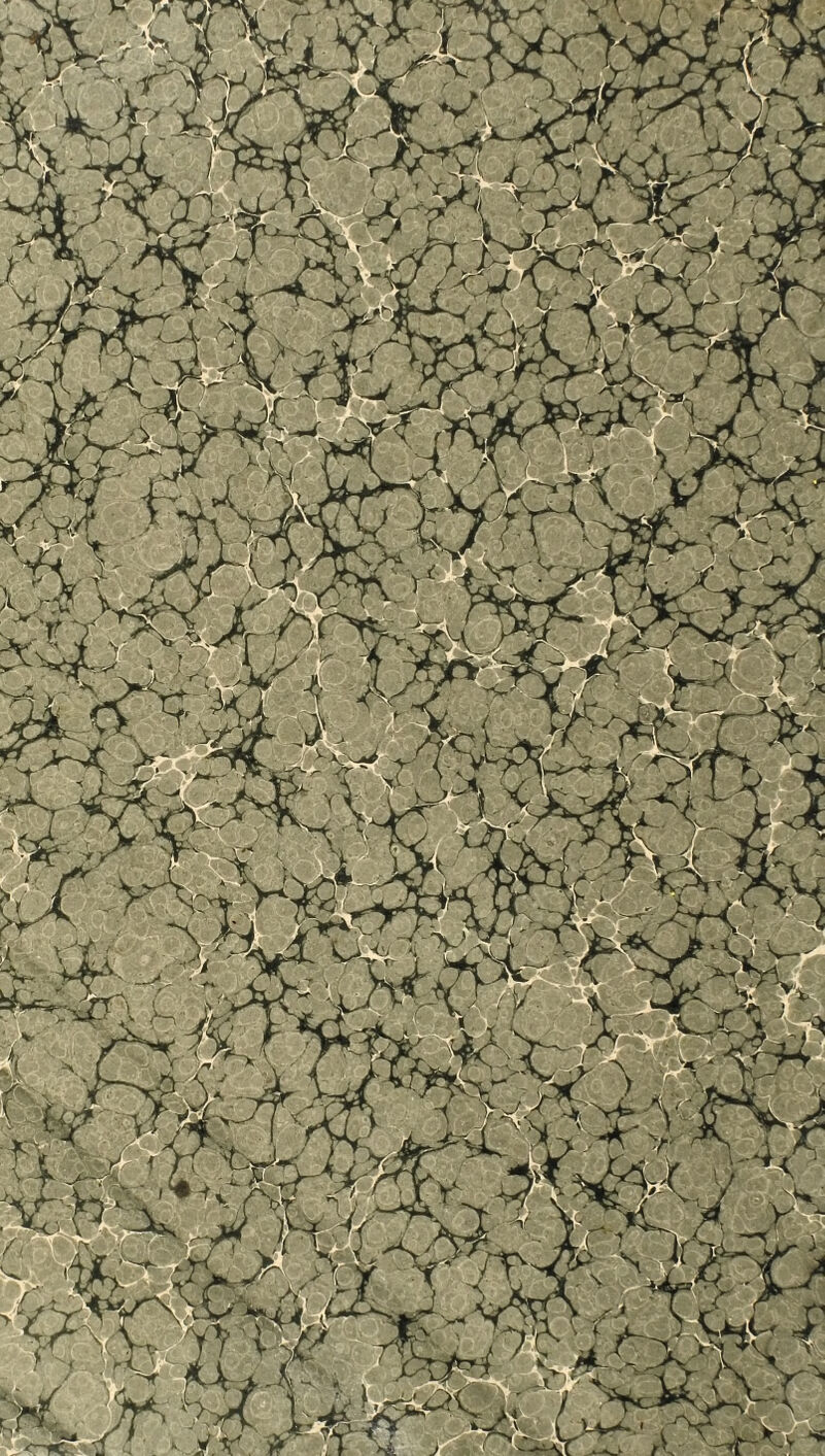 r c ) ïv S. >4* ~*/A y V -Xk îjflb jy- K 1 V iyd: w^V v '*r J[ A 7 *. V. / \j, * / J* | ' -y i 4 ; 7 K, . y/ ji