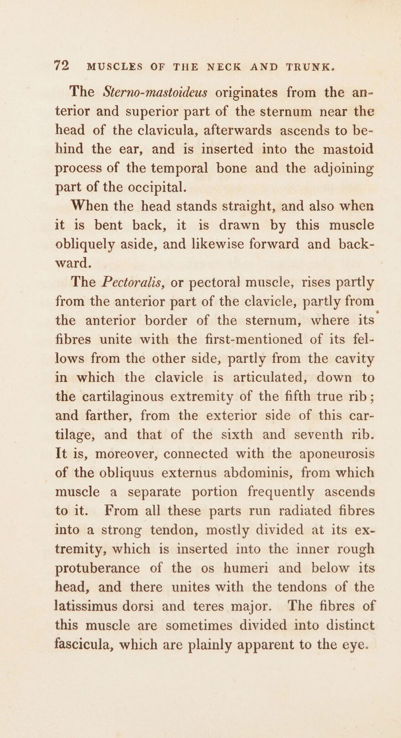 The Sterno-mastoideus originates from the an- terior and superior part of the sternum near the head of the clavicula, afterwards ascends to be- hind the ear, and is inserted into the mastoid process of the temporal bone and the adjoining part of the occipital. When the head stands straight, and also when it is bent back, it is drawn by this muscle obliquely aside, and likewise forward and back- ward. The Pectoralis, or pectoral muscle, rises partly from the anterior part of the clavicle, partly from the anterior border of the sternum, where its fibres unite with the first-mentioned of its fel- lows from the other side, partly from the cavity in which the clavicle is articulated, down to the cartilaginous extremity of the fifth true rnb; and farther, from the exterior side of this car- tilage, and that of the sixth and seventh rib. It is, moreover, connected with the aponeurosis of the obliquus externus abdominis, from which muscle a separate portion frequently ascends to it. From all these parts run radiated fibres into a strong tendon, mostly divided at its ex- tremity, which is inserted into the inner rough protuberance of the os humeri and below its head, and there unites with the tendons of the latissimus dorsi and teres major. The fibres of this muscle are sometimes divided into distinct fascicula, which are plainly apparent to the eye.