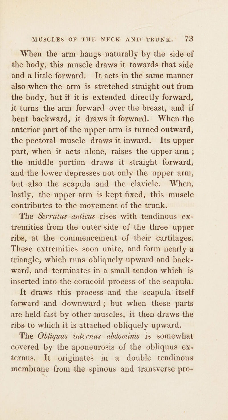 When the arm hangs naturally by the side of the body, this muscle draws it towards that side and a little forward. It acts in the same manner also when the arm is stretched straight out from the body, but if it is extended directly forward, it turns the arm forward over the breast, and if bent backward, it draws it forward. When the anterior part of the upper arm is turned outward, the pectoral muscle draws it inward. Its upper part, when it acts alone, raises the upper arm ; the middle portion draws it straight forward, and the lower depresses not only the upper arm, but also the scapula and the clavicle. When, lastly, the upper arm is kept fixed, this muscle contributes to the movement of the trunk. The Serratus anticus rises with tendinous ex- tremities from the outer side of the three upper ribs, at the commencement of their cartilages. These extremities soon unite, and form nearly a triangle, which runs obliquely upward and back- ward, and terminates in a small tendon which is inserted into the coracoid process of the scapula. It draws this process and the scapula itself forward and downward; but when these parts are held fast by other muscles, it then draws the ribs to which it is attached obliquely upward. The Obliquus internus abdominis is somewhat covered by the aponeurosis of the obliquus ex- ternus. It originates in a double tendinous membrane from the spinous and transverse pro-